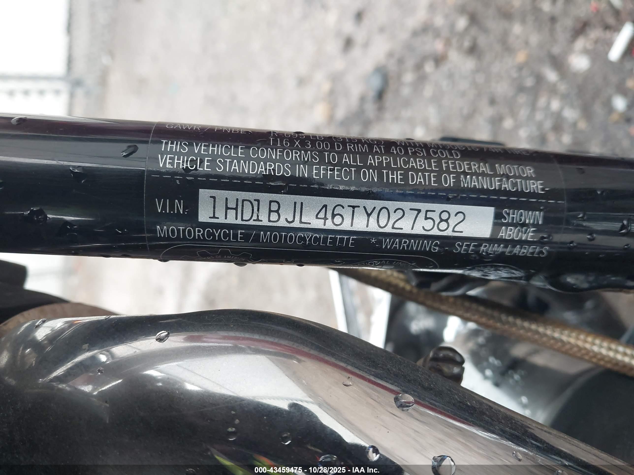 HARLEY-DAVIDSON FLSTC image 10