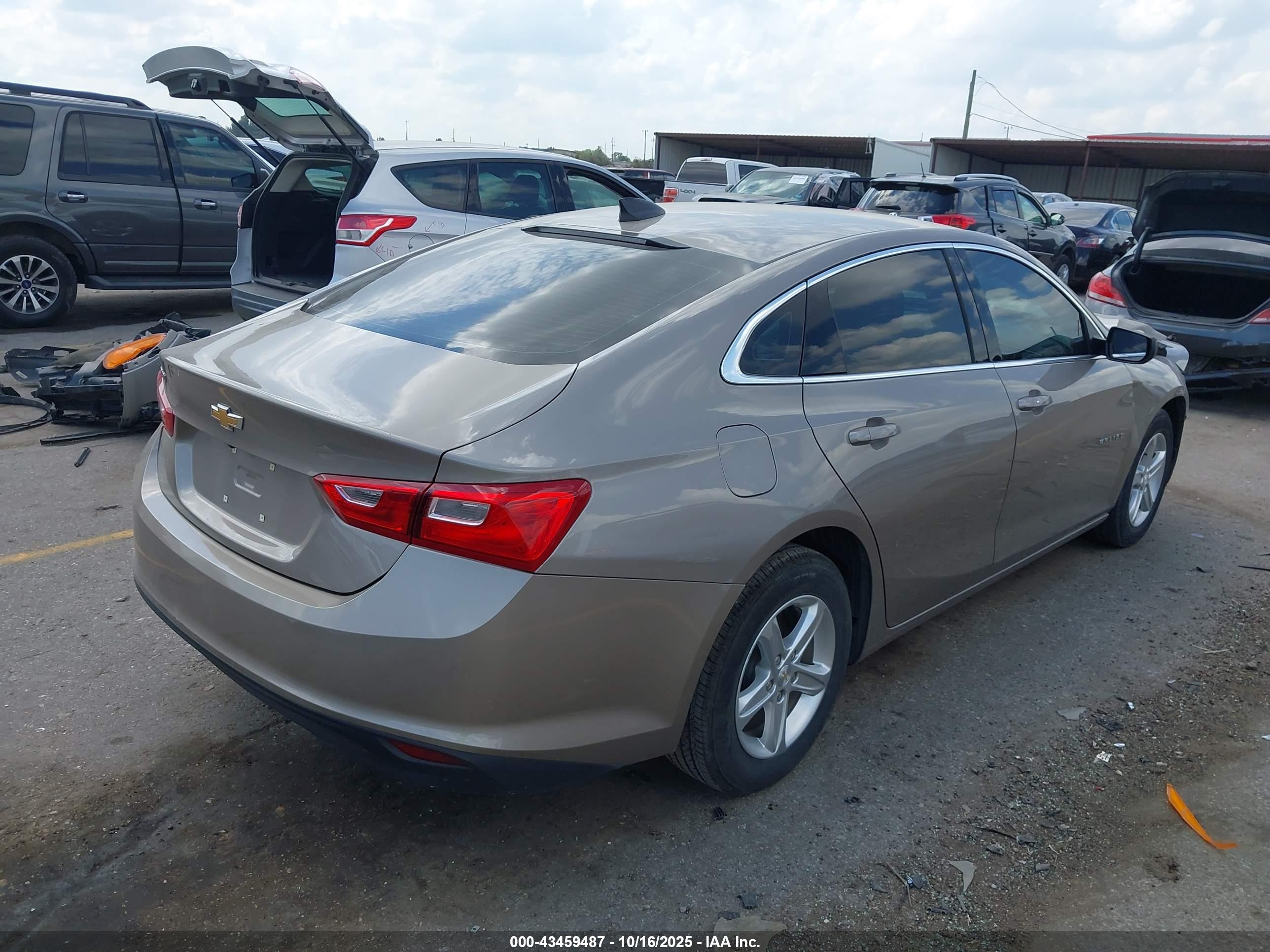 CHEVROLET MALIBU image 4