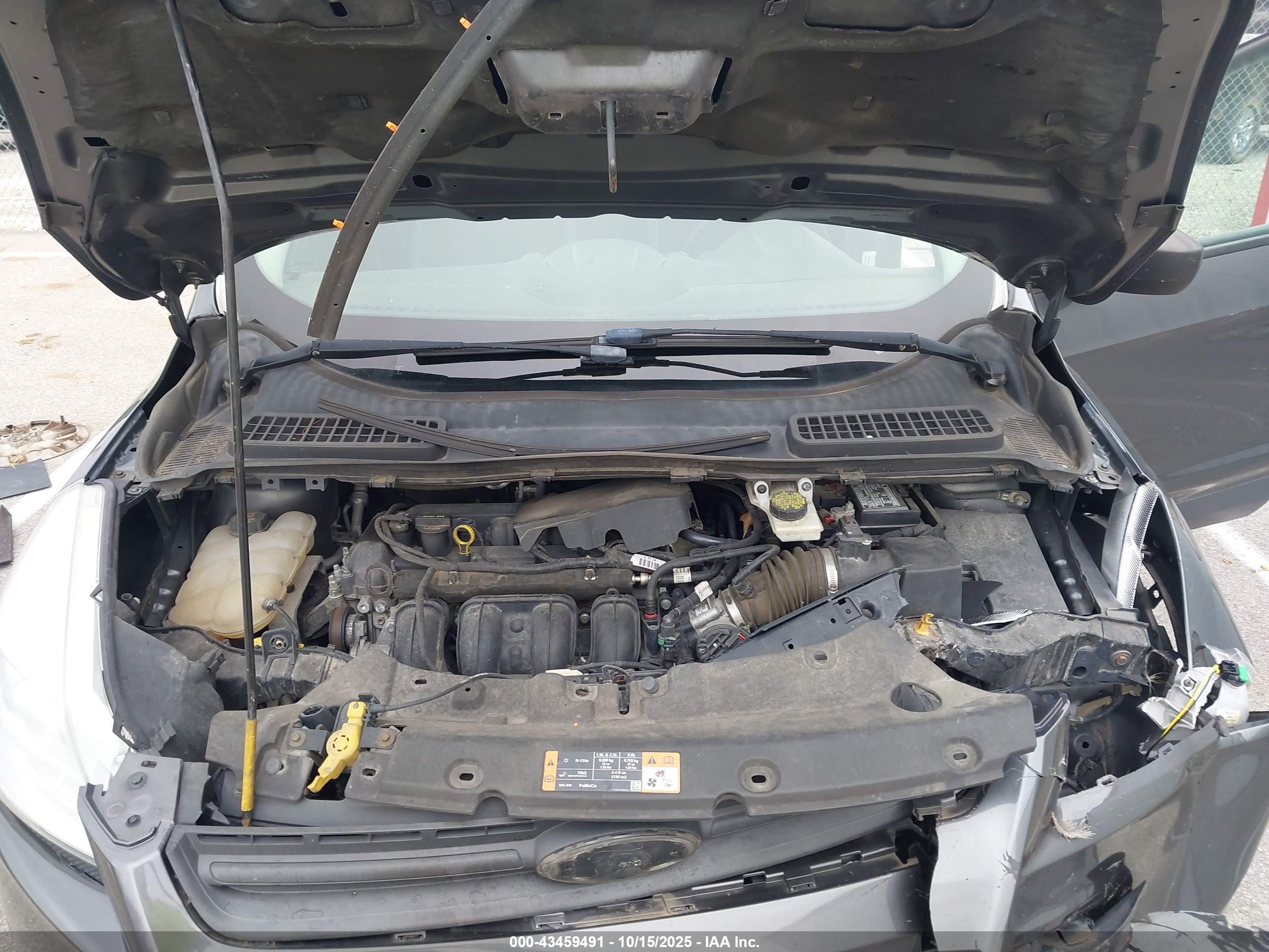 FORD ESCAPE image 10