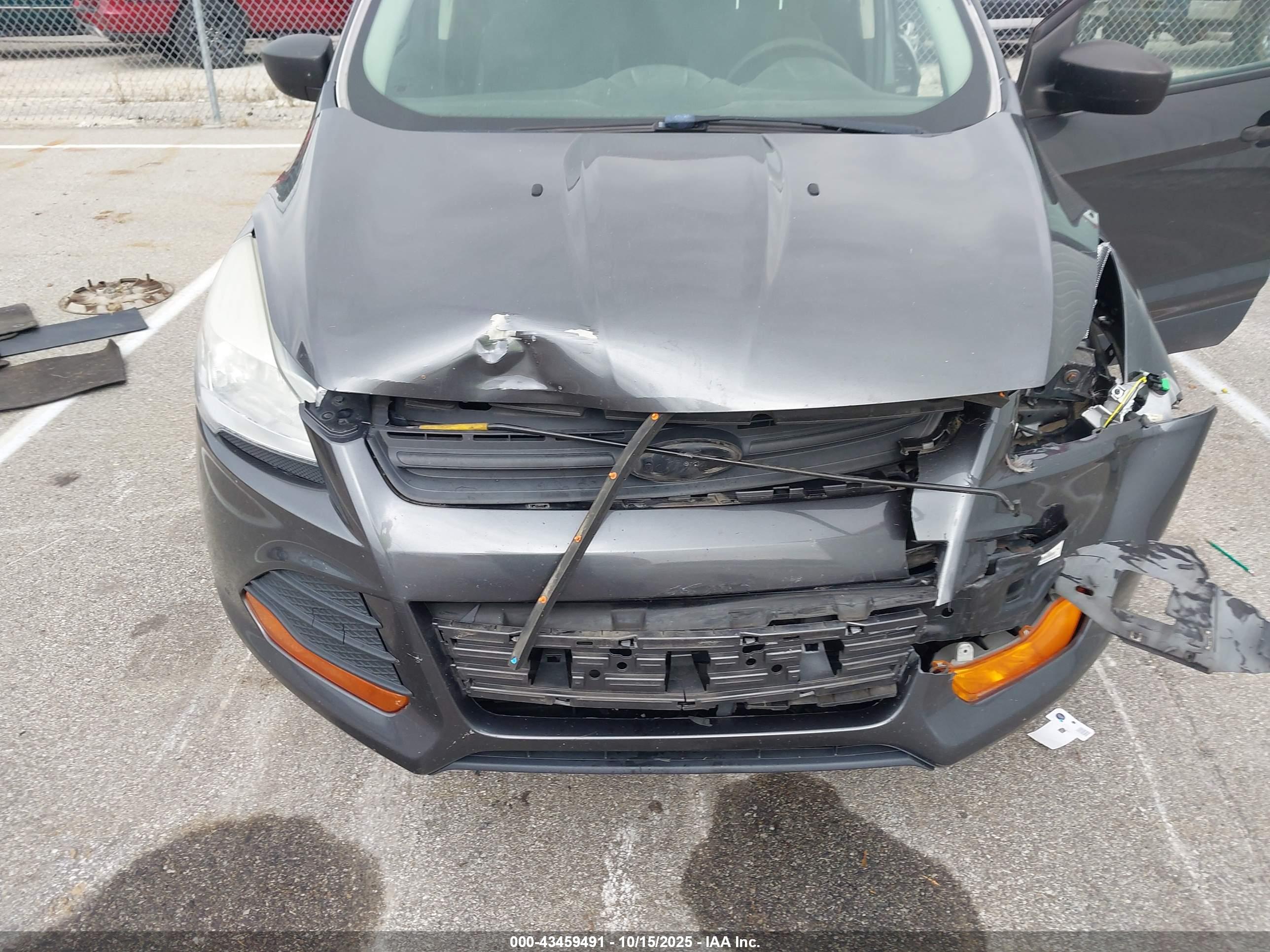 FORD ESCAPE image 6