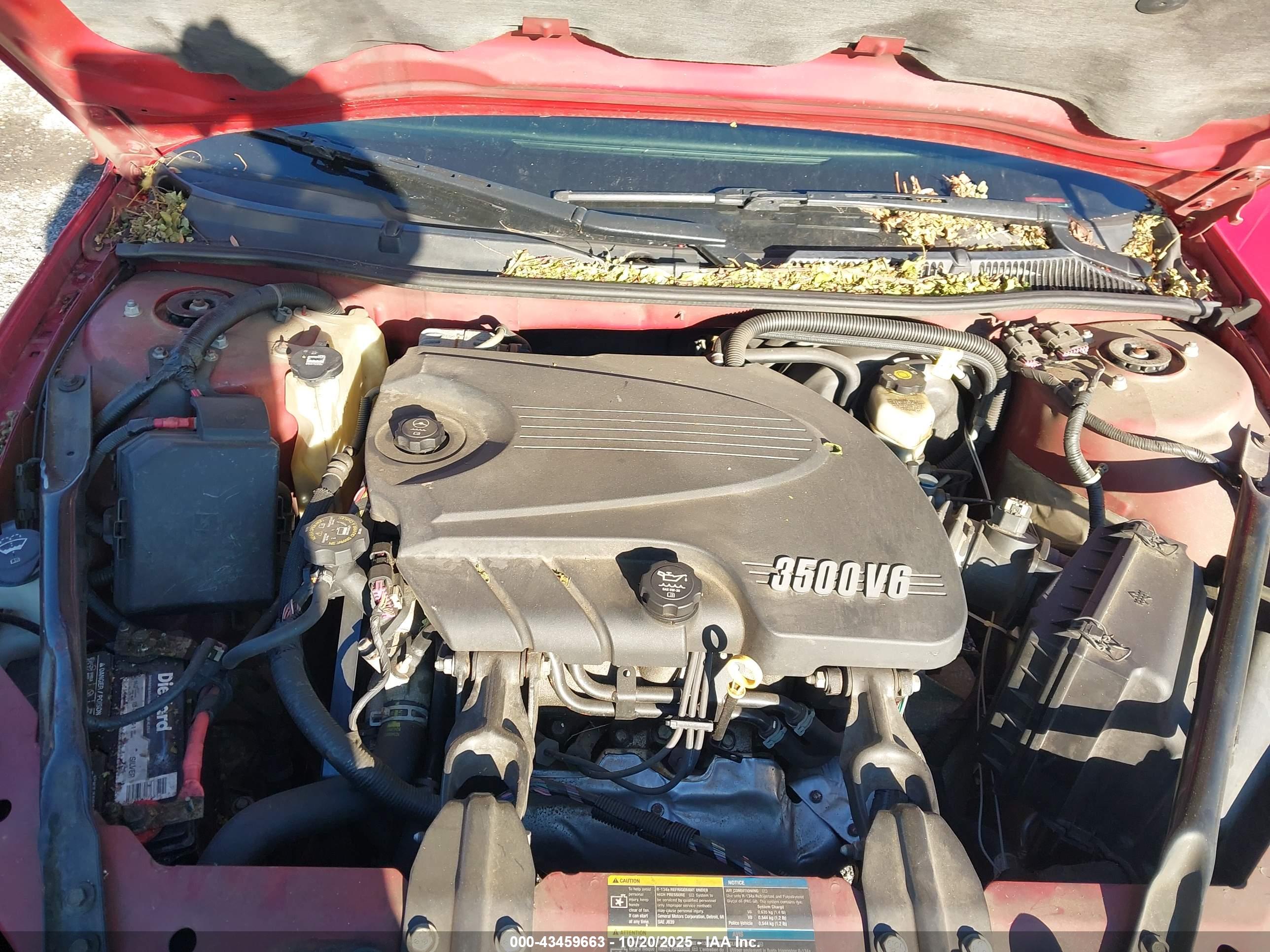 CHEVROLET IMPALA image 10