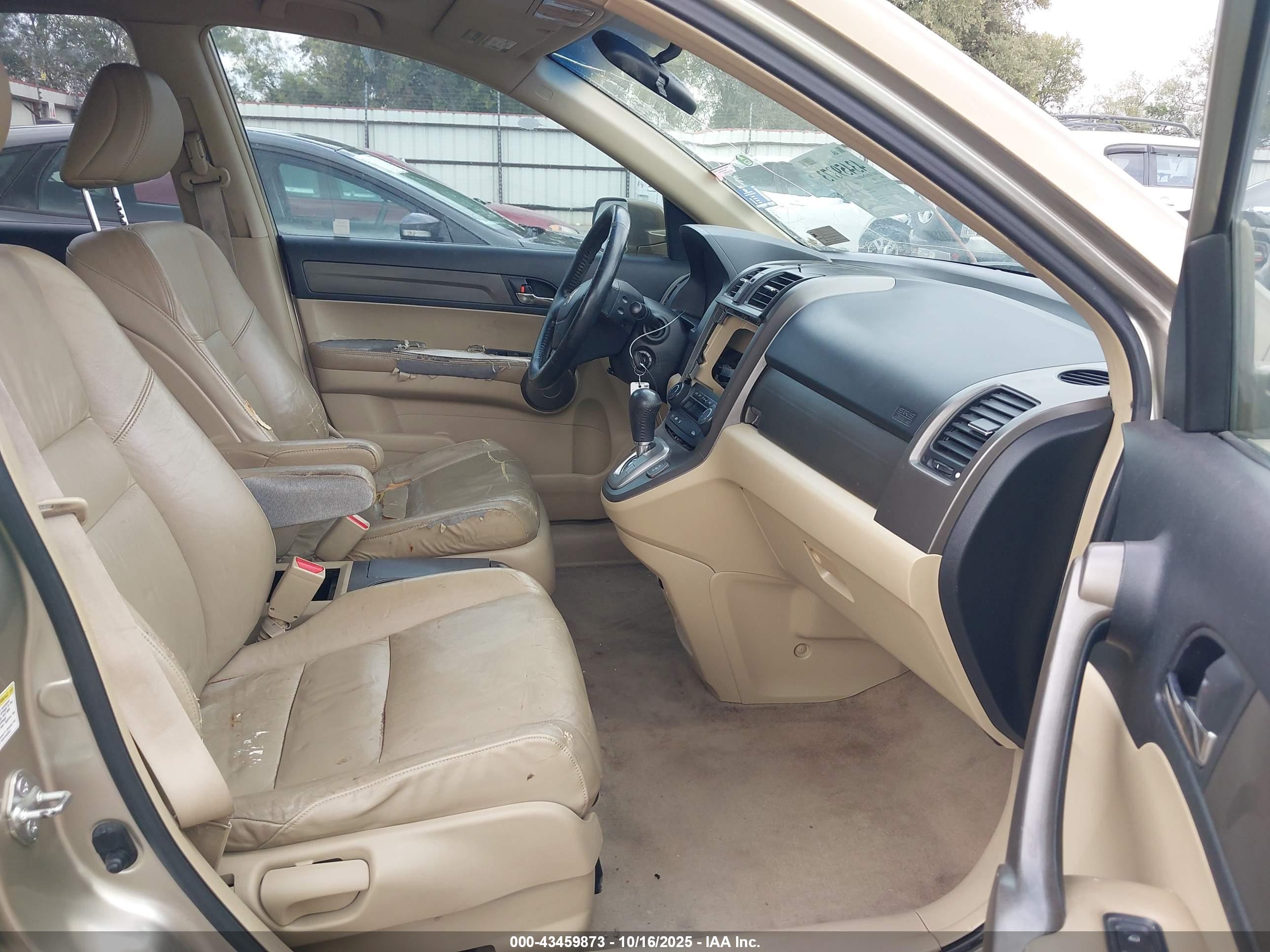 HONDA CR-V image 5