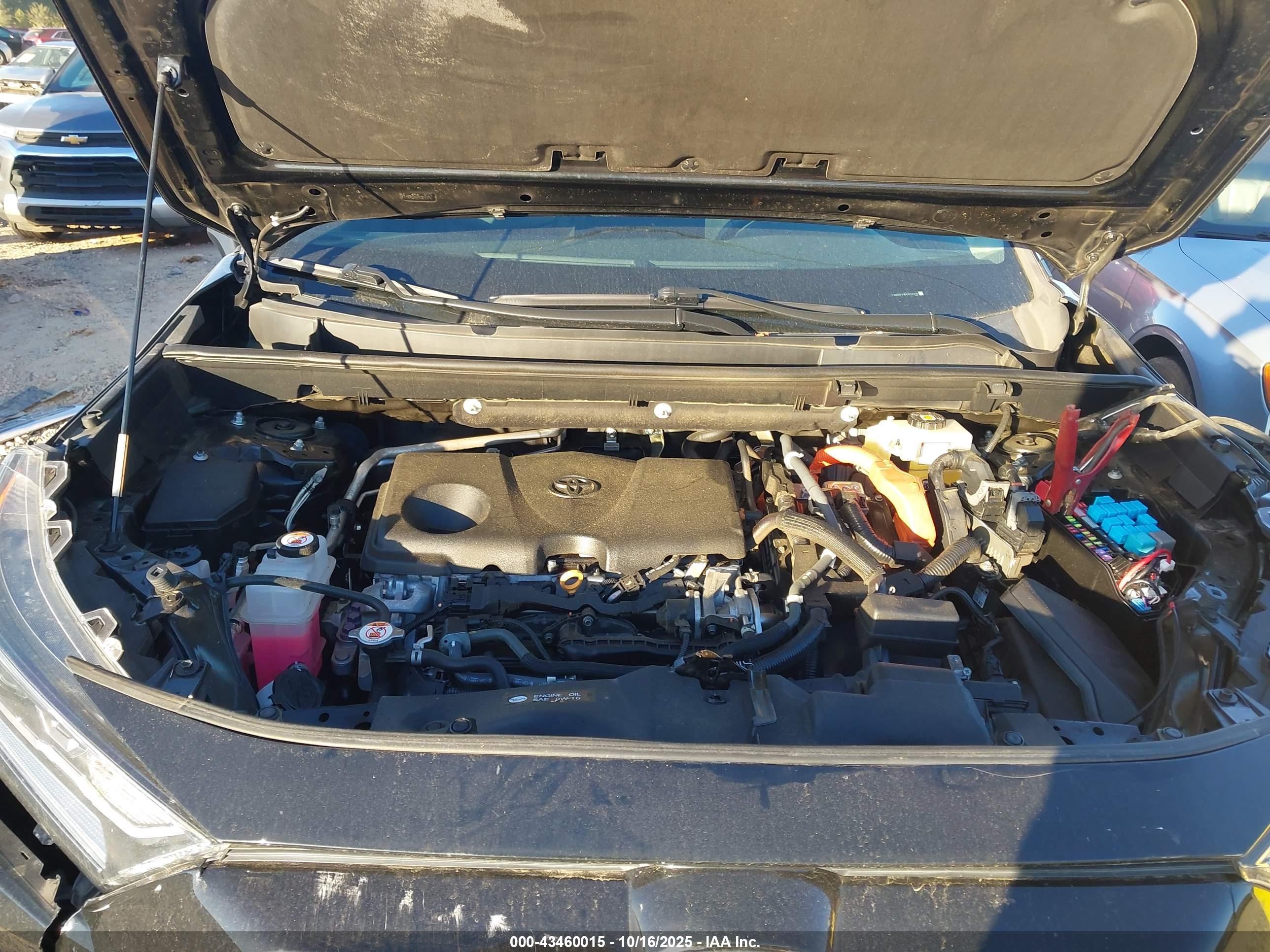 TOYOTA RAV4 image 10