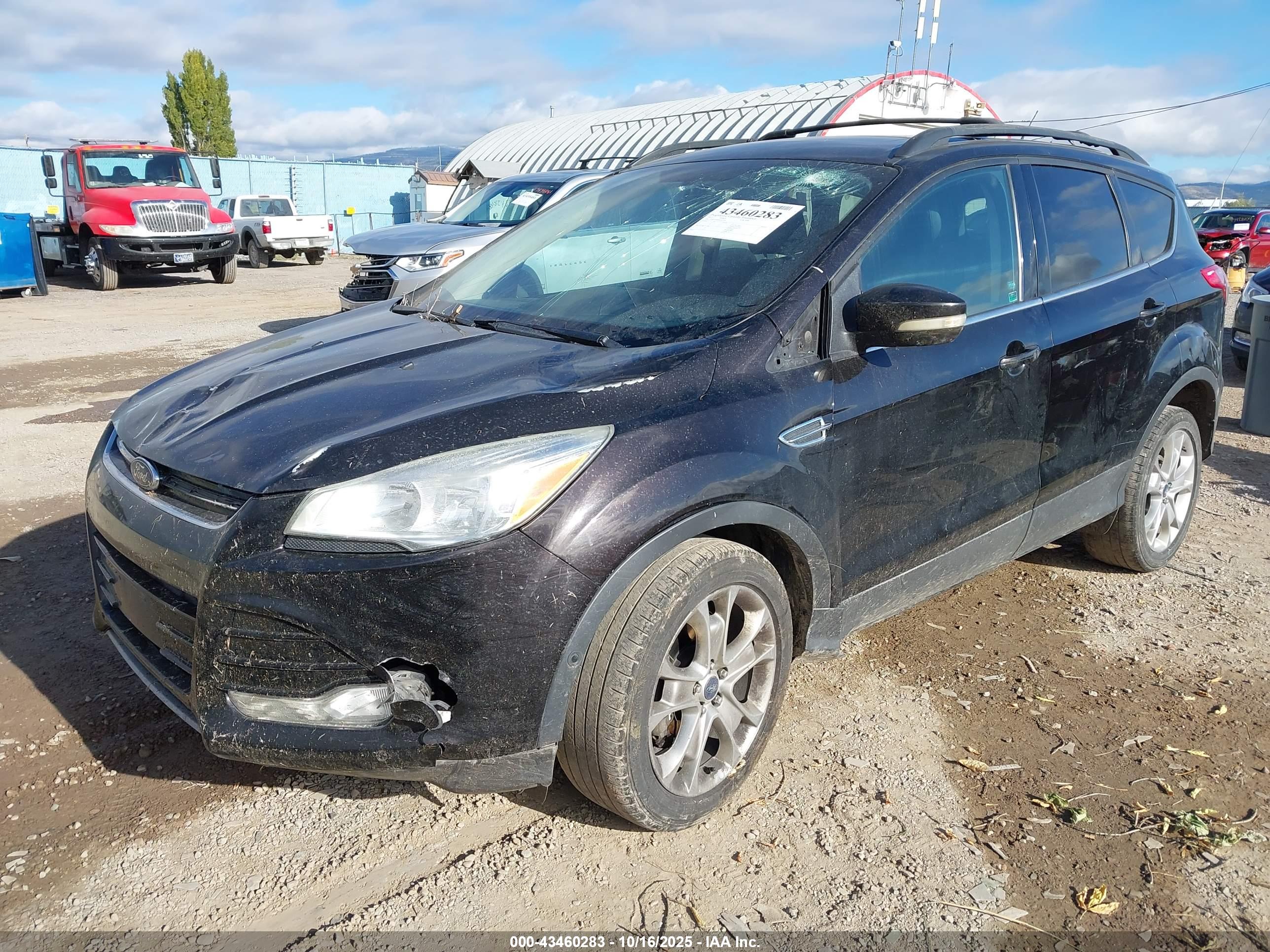 FORD ESCAPE image 2