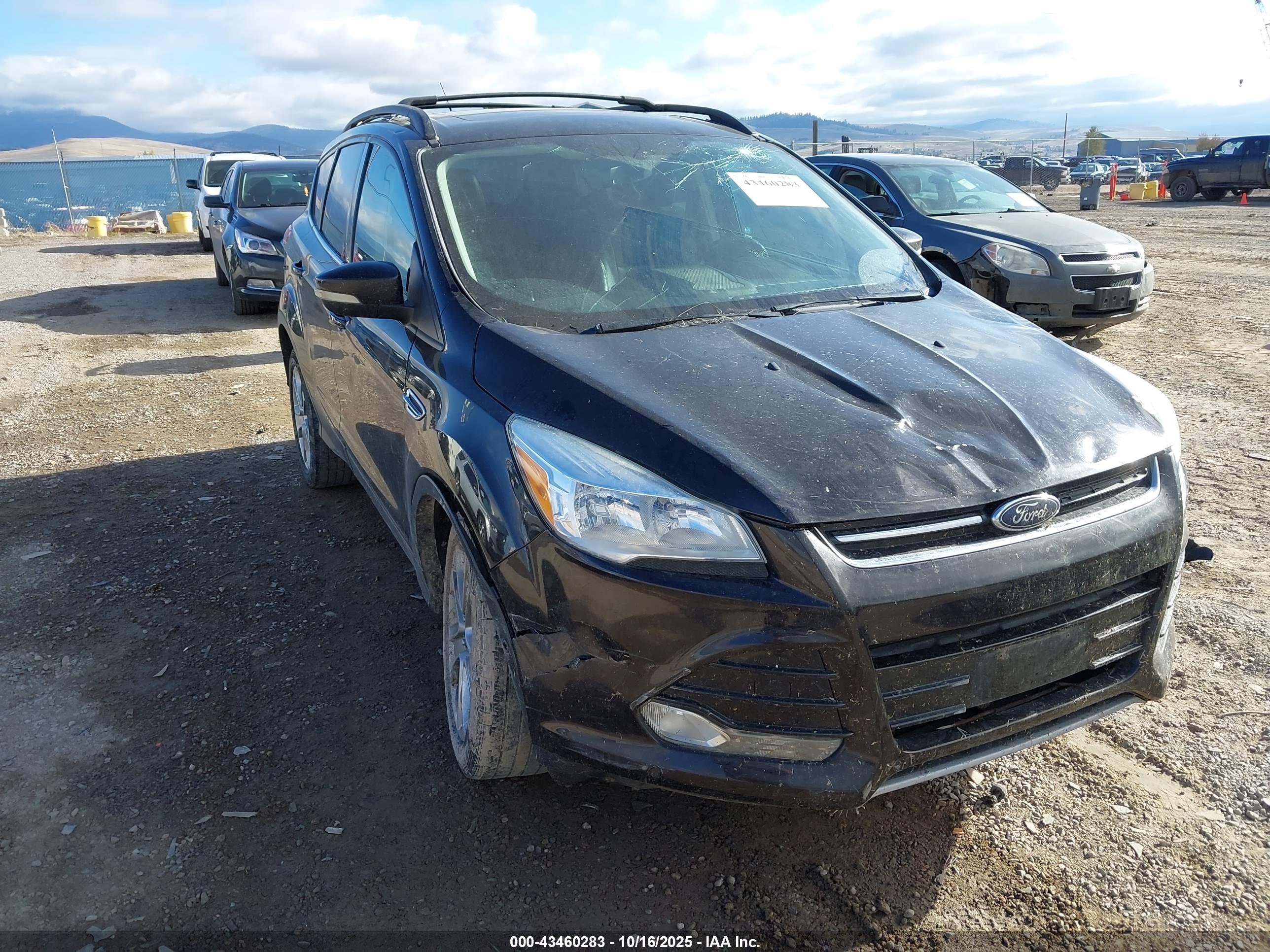 FORD ESCAPE image 6