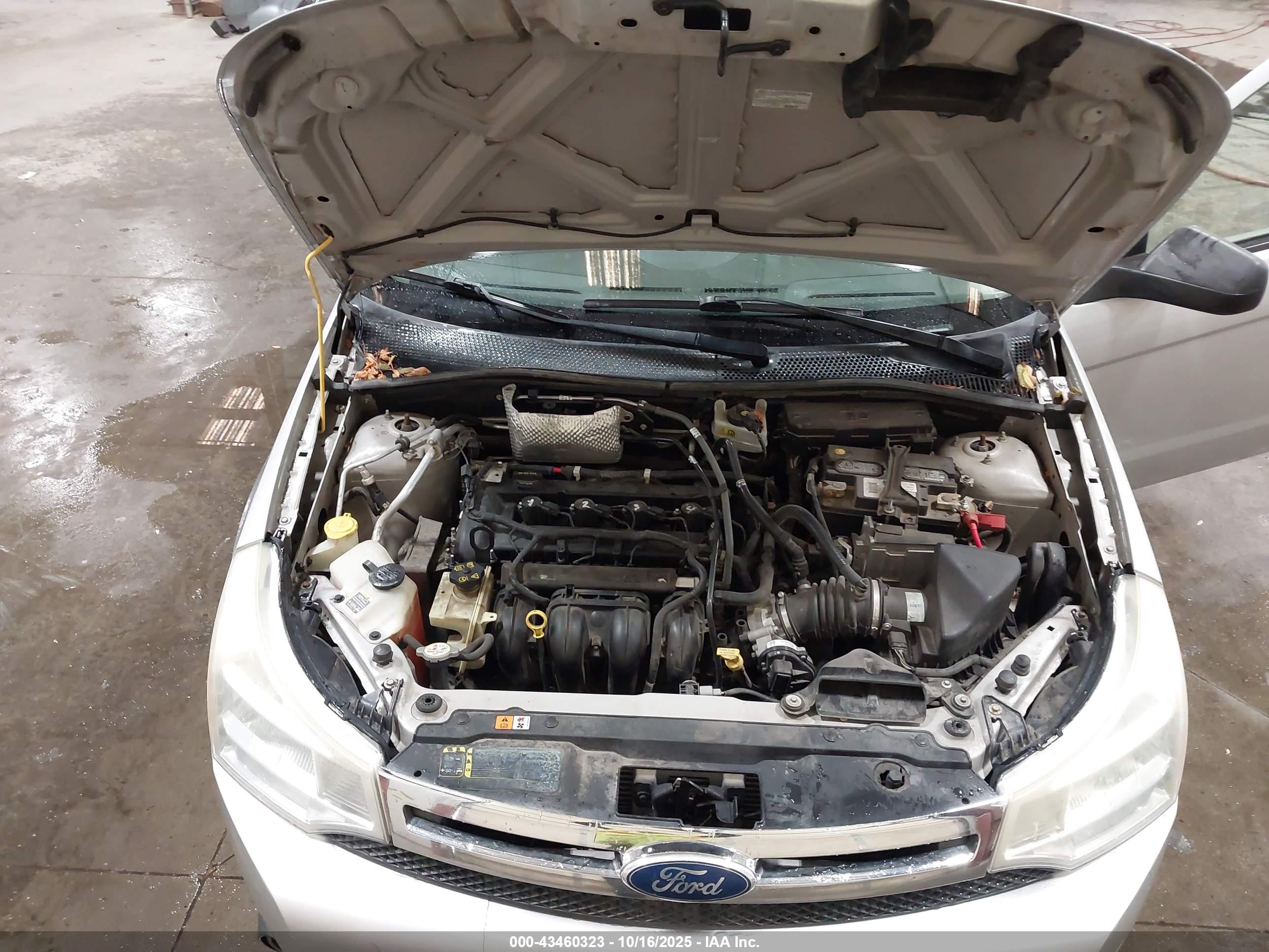 FORD FOCUS image 10