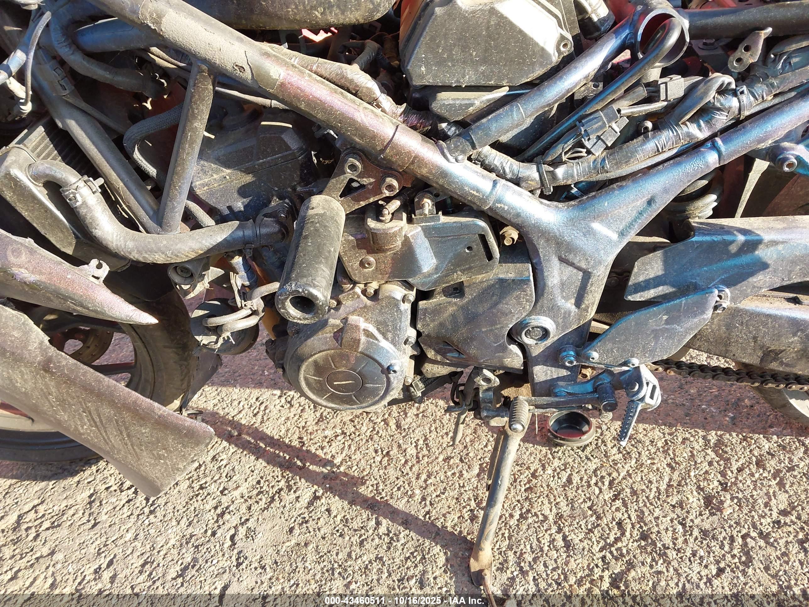 YAMAHA YZFR3 image 9