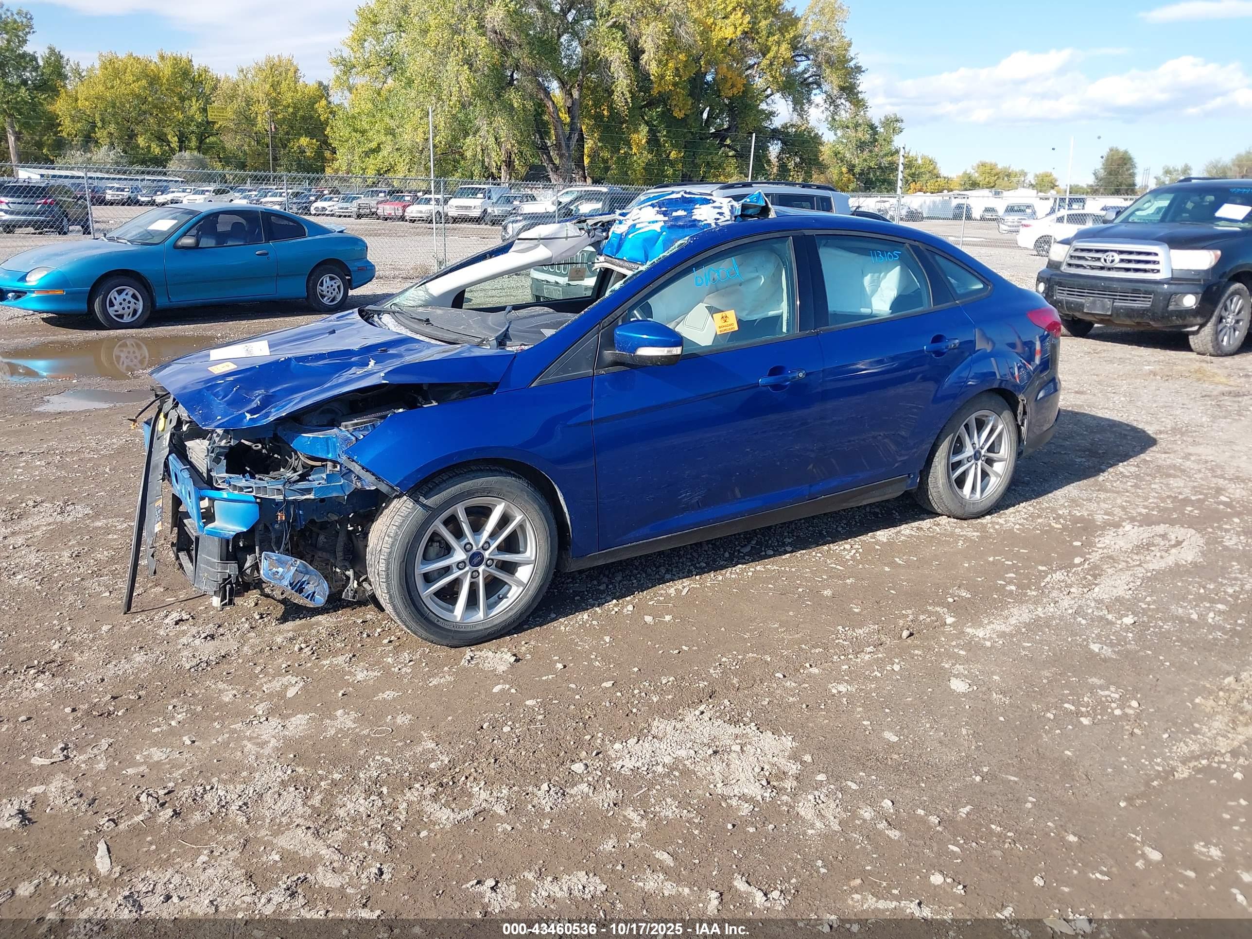 FORD FOCUS image 2