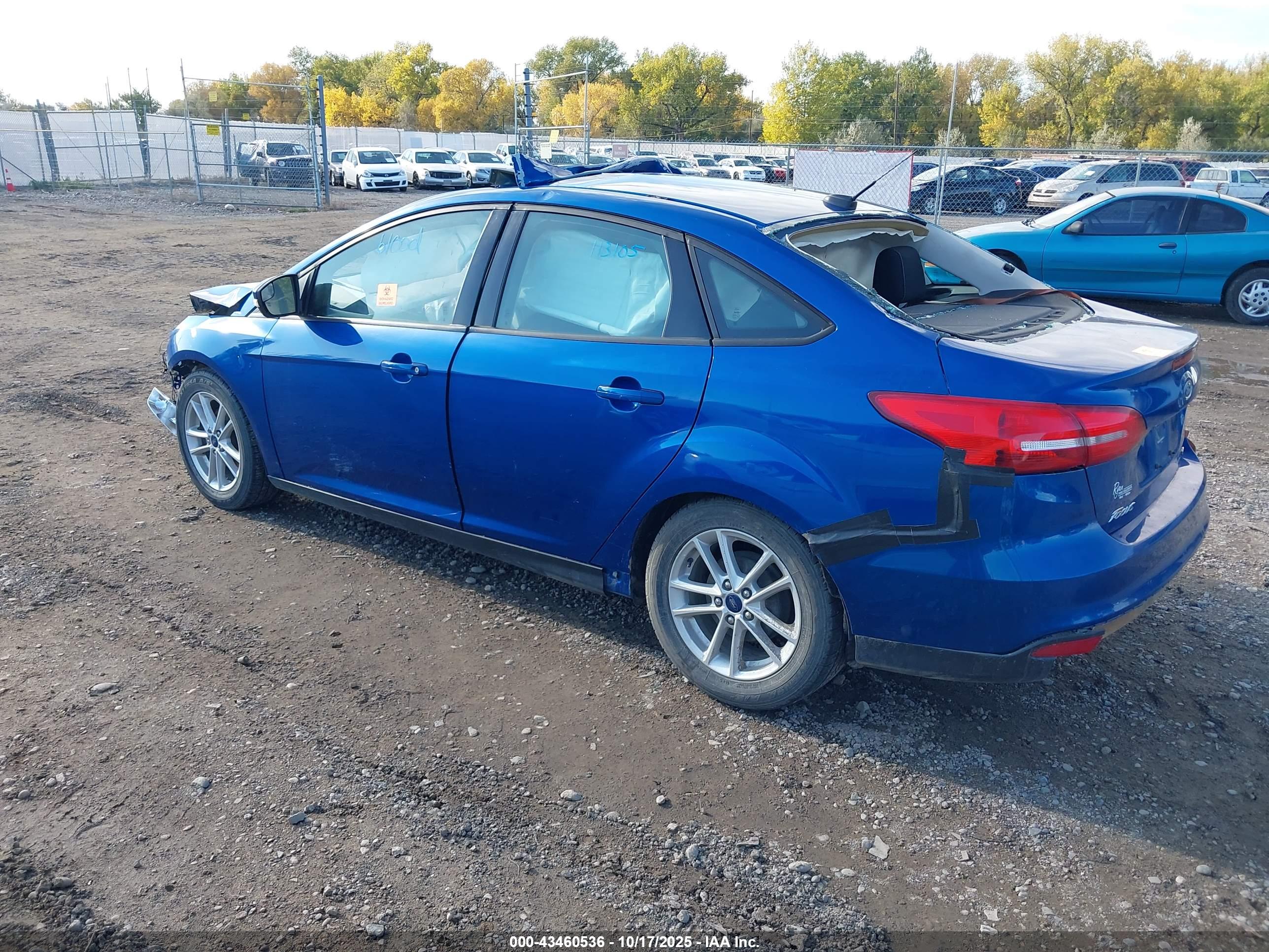 FORD FOCUS image 3