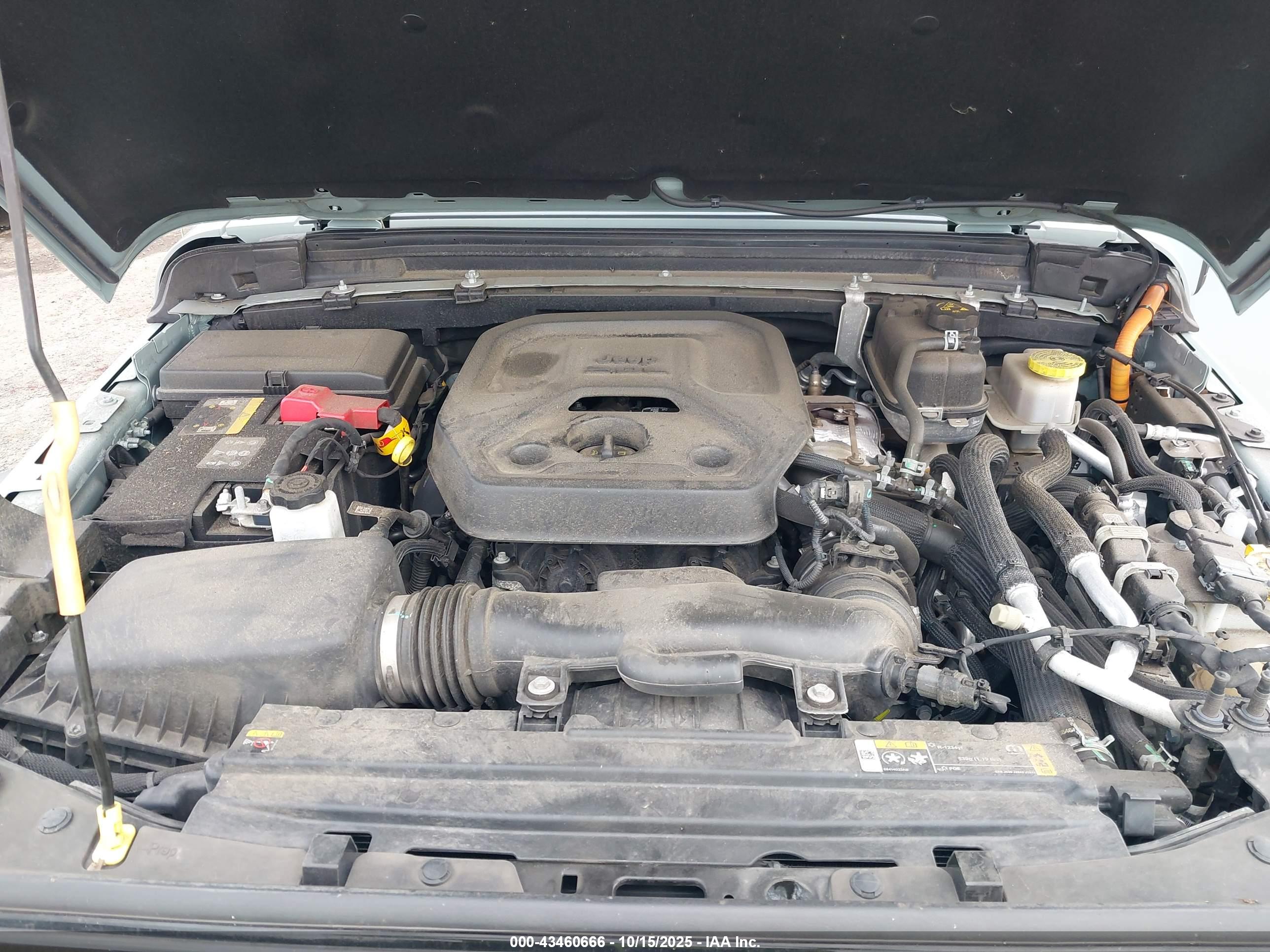 JEEP WRANGLER image 10