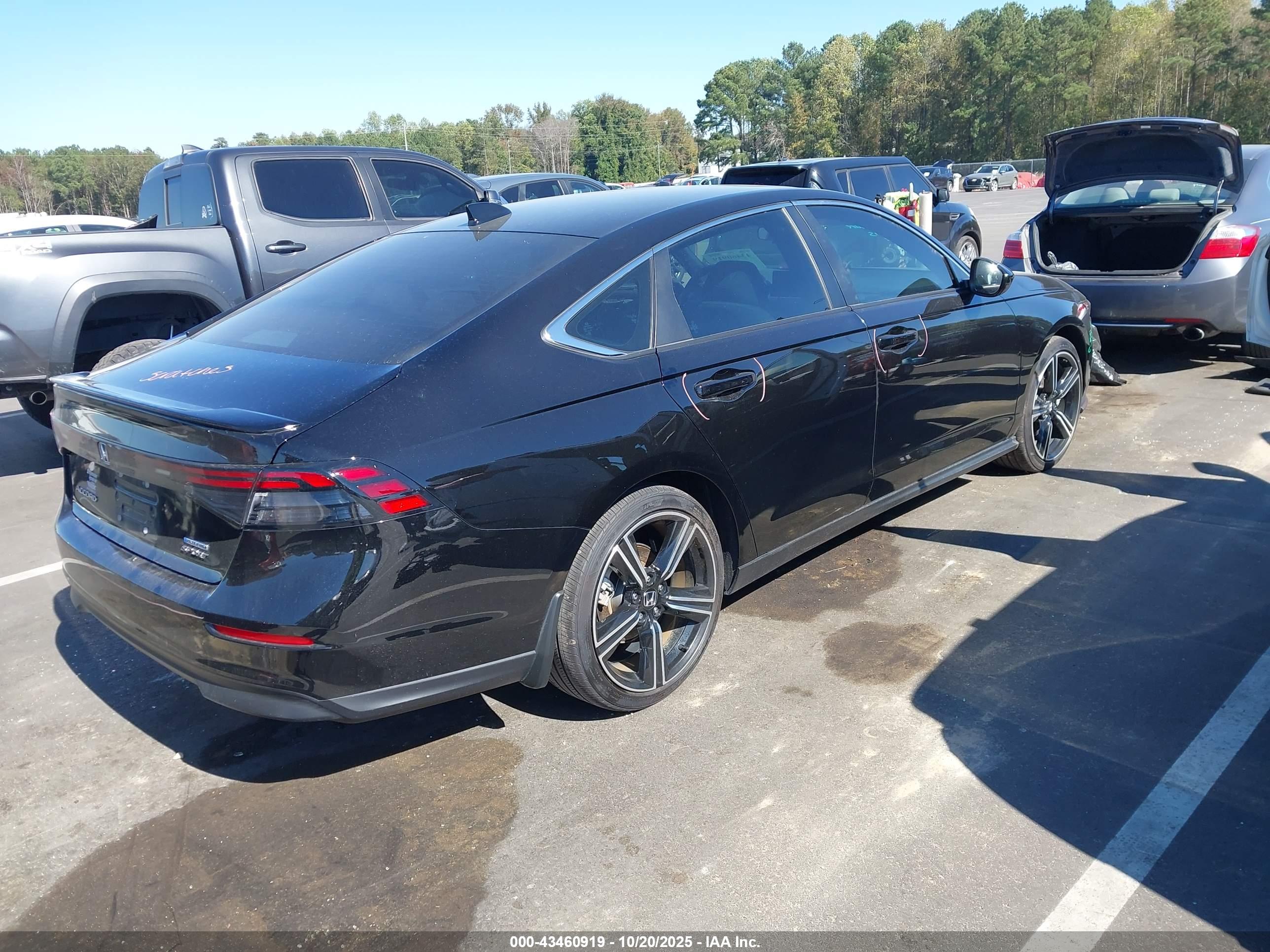 HONDA ACCORD image 4