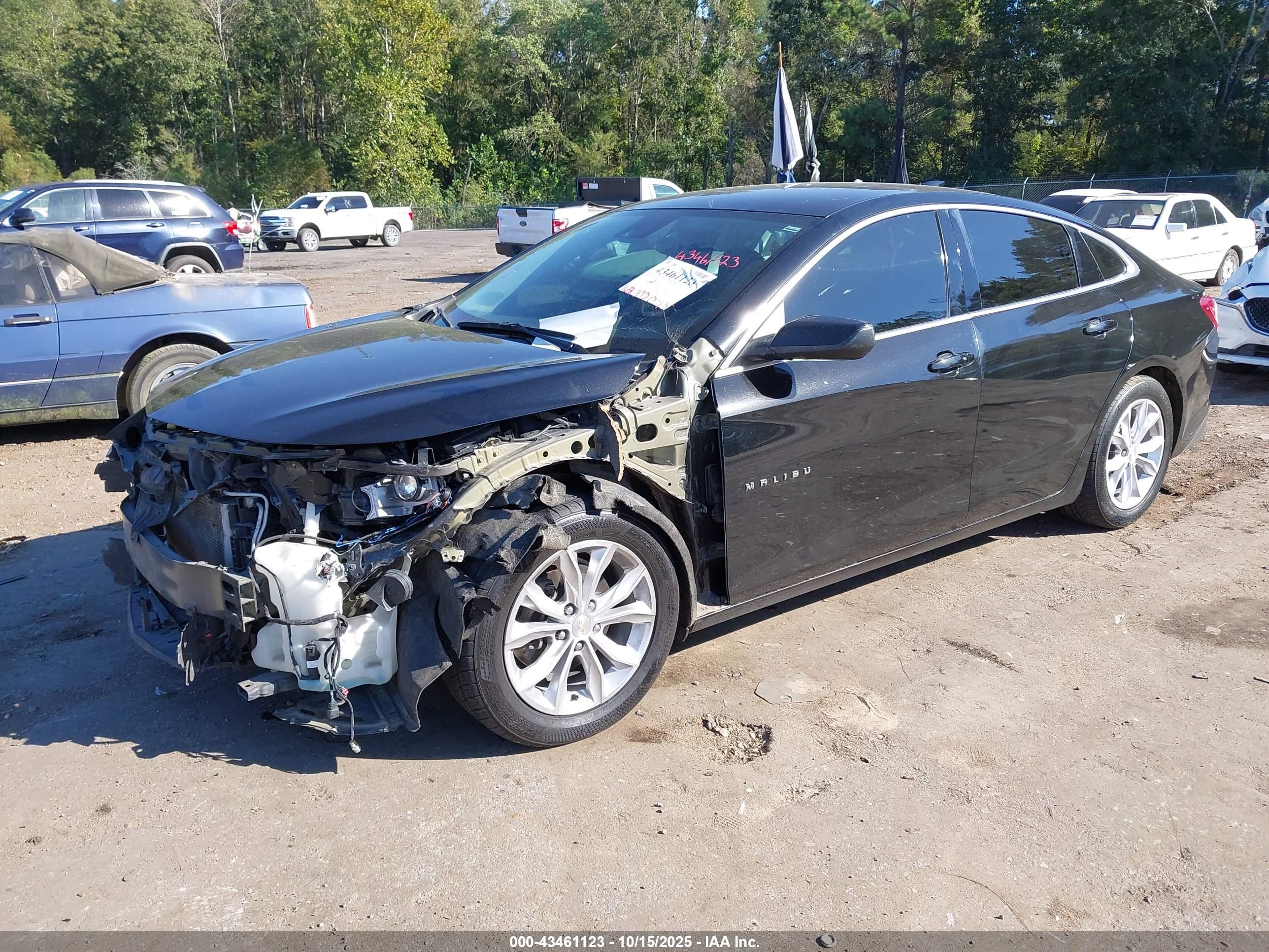 CHEVROLET MALIBU image 2