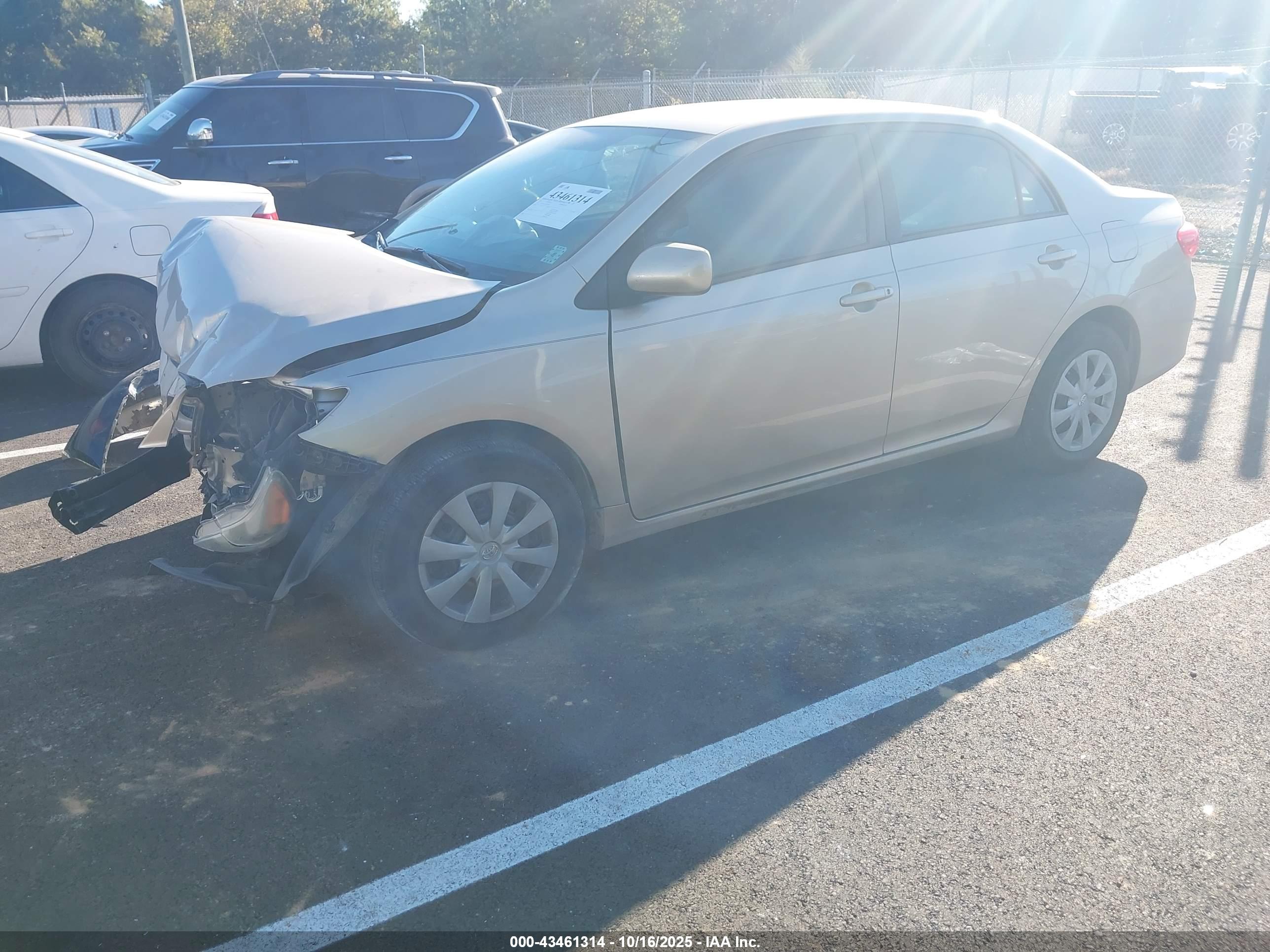 TOYOTA COROLLA image 2