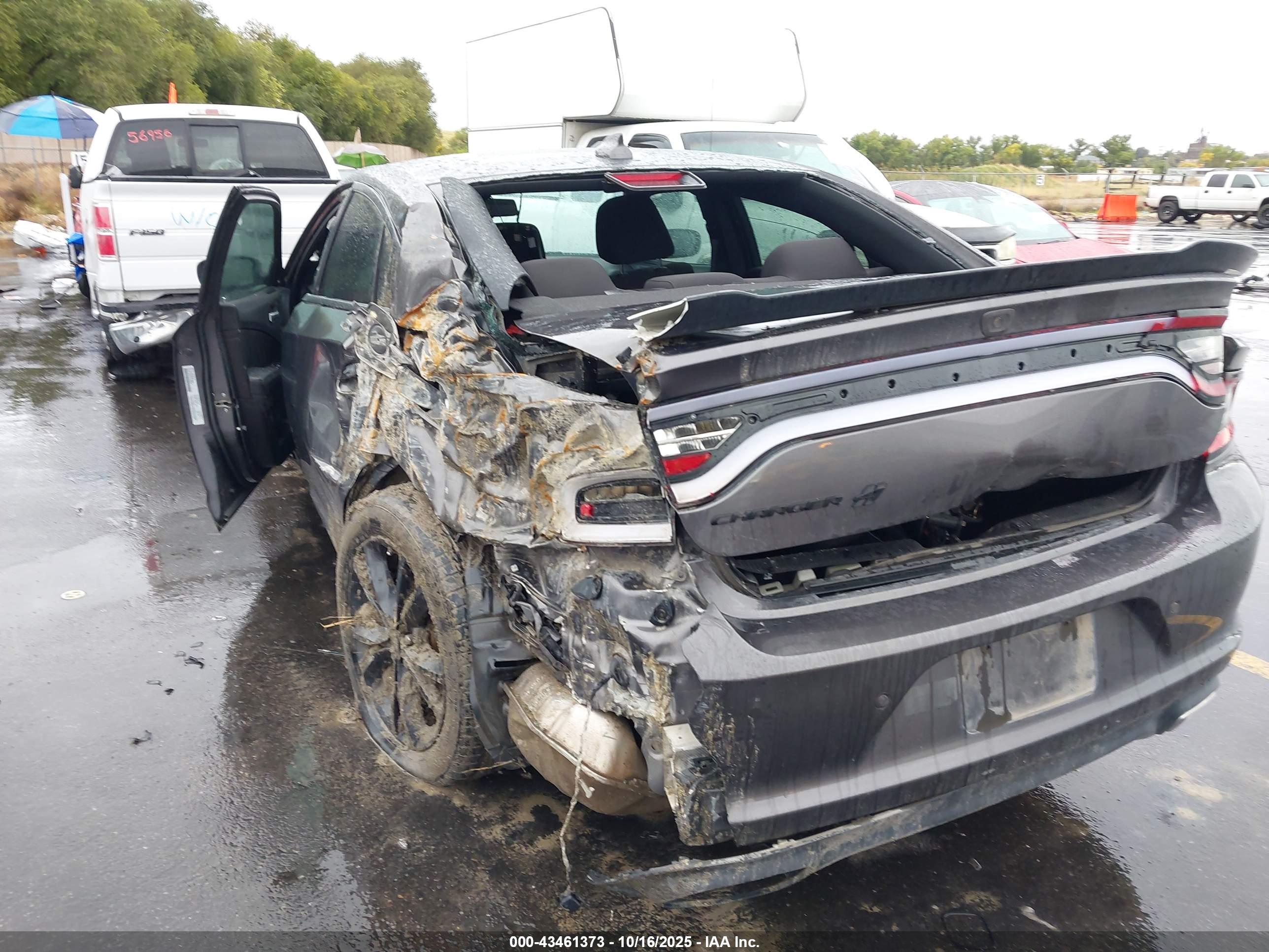 DODGE CHARGER image 6