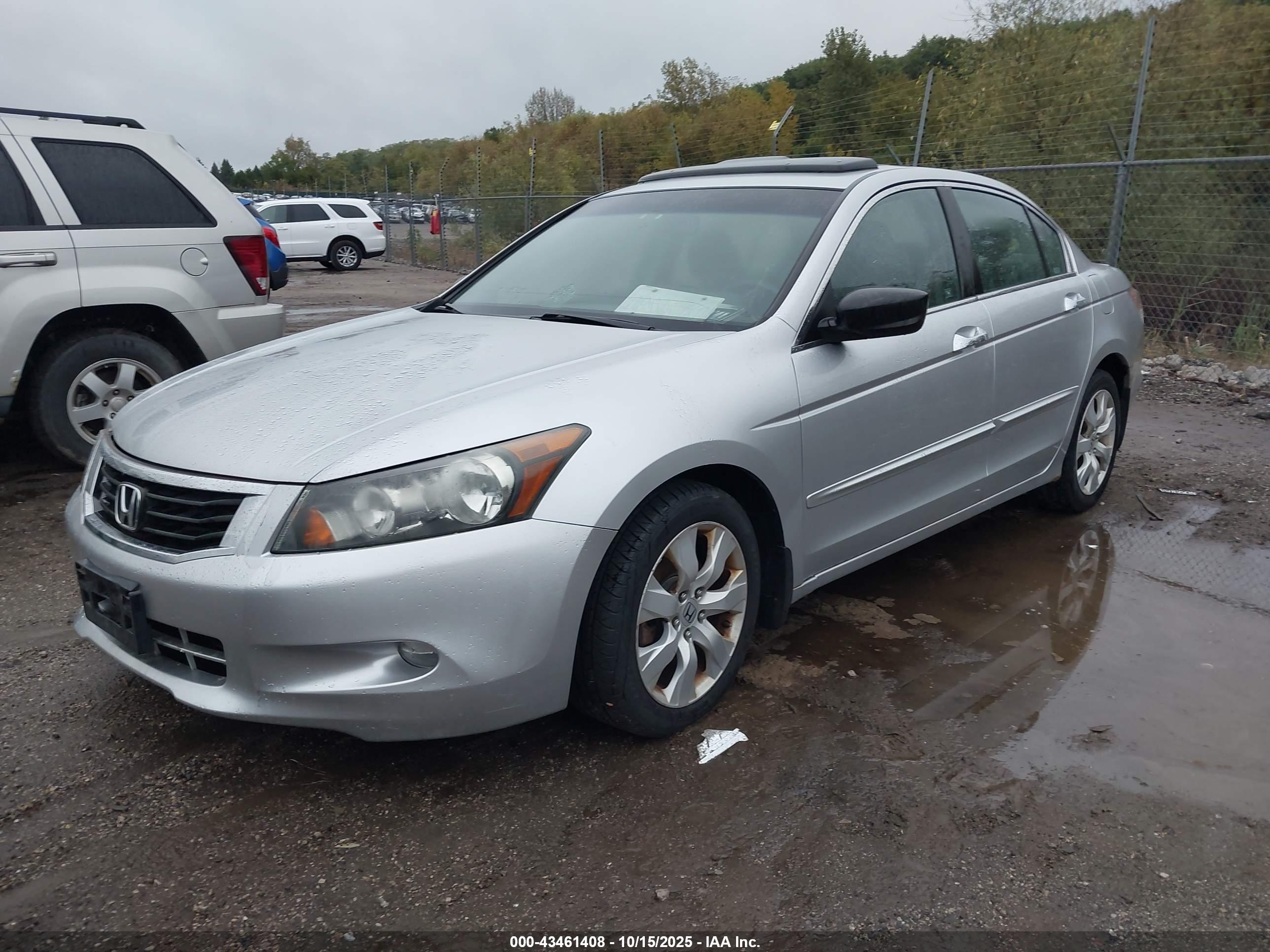 HONDA ACCORD image 2