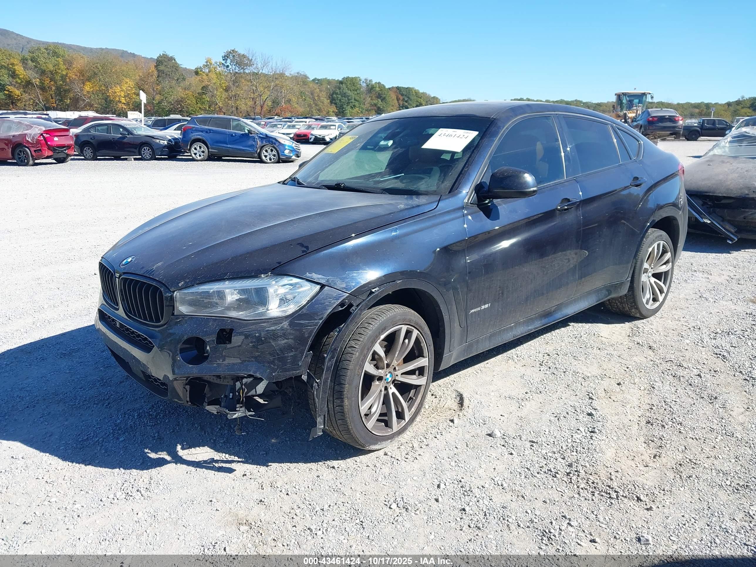 BMW X6 image 2
