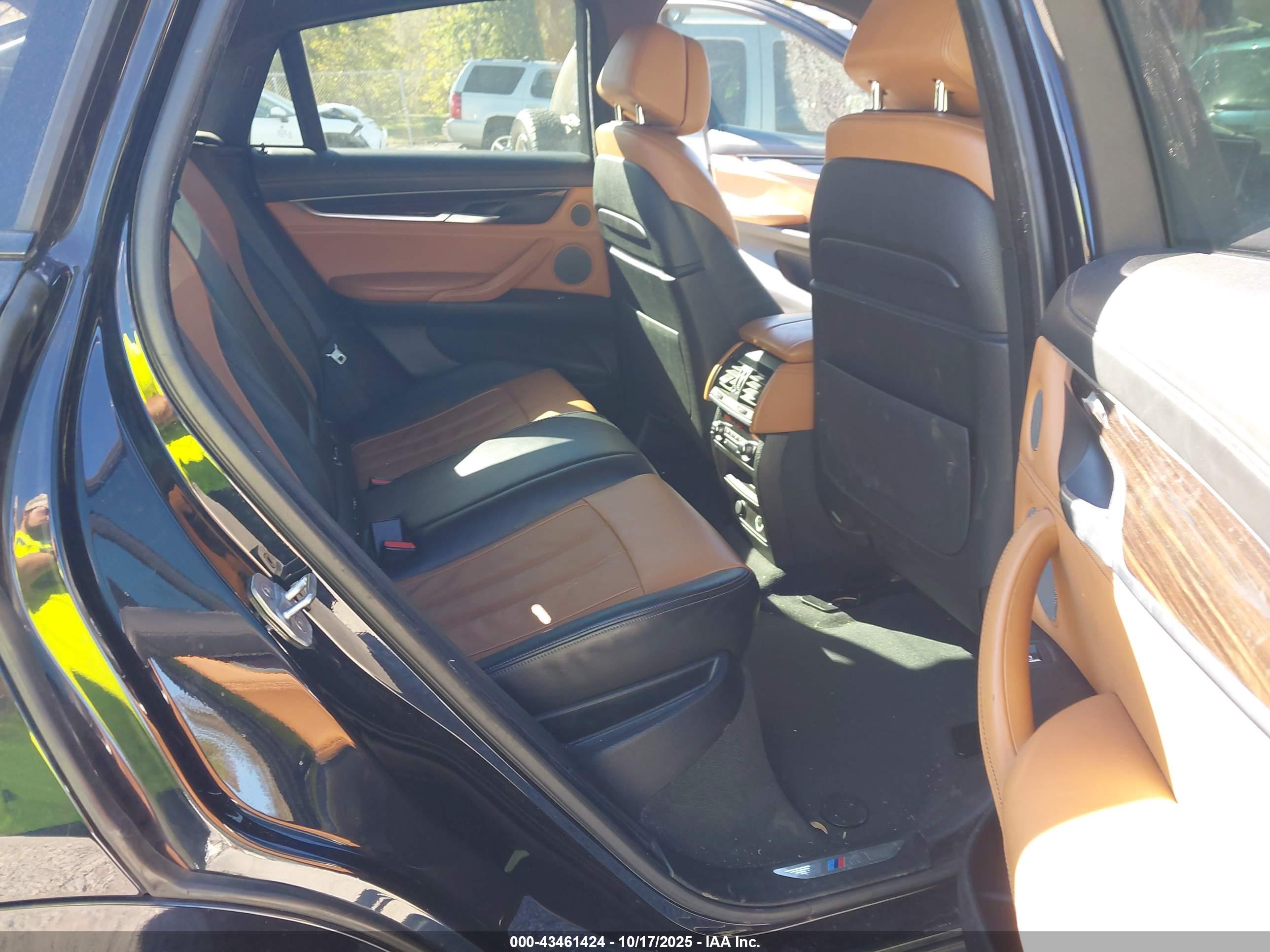 BMW X6 image 8