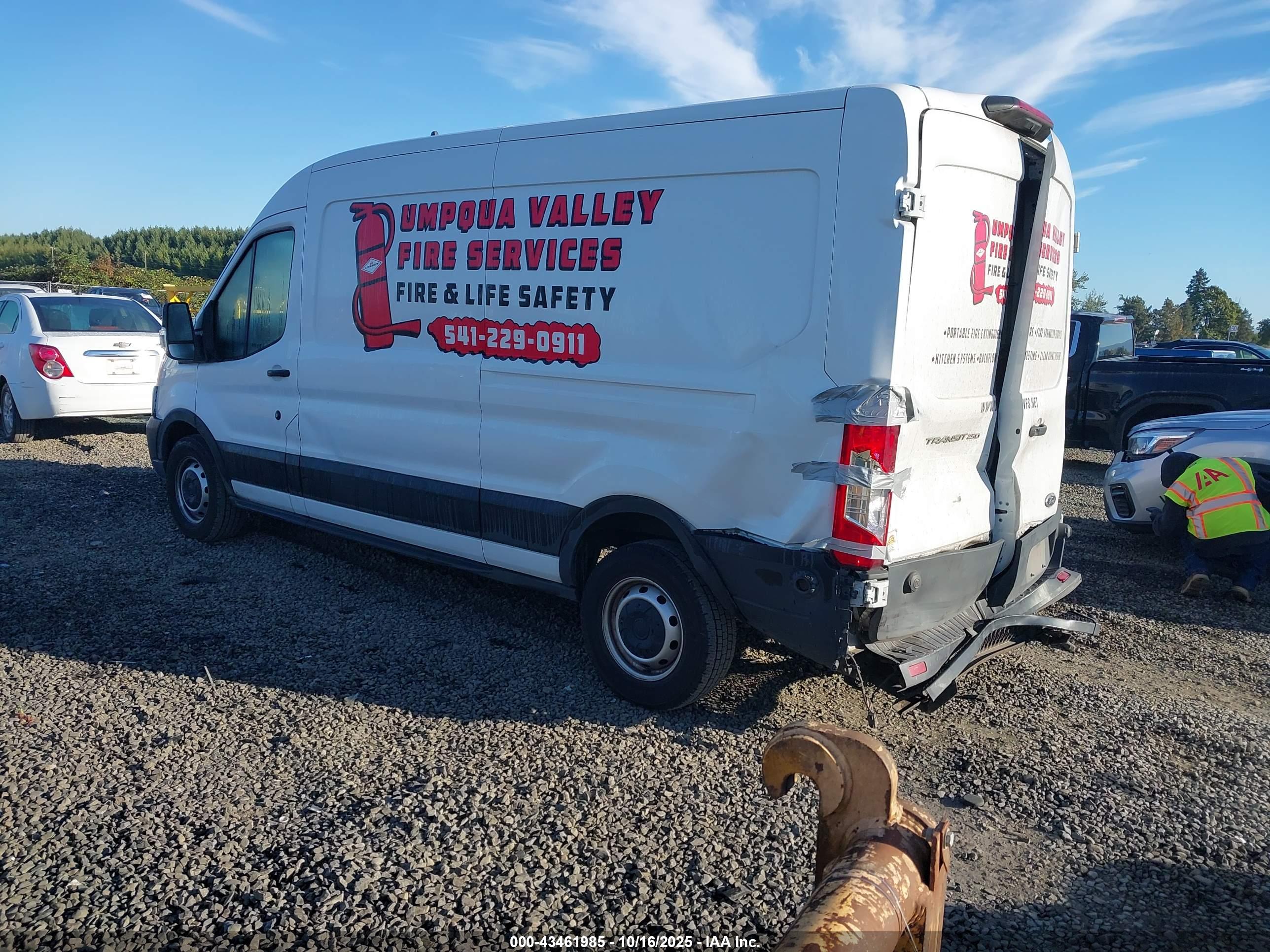 FORD TRANSIT-250 image 3