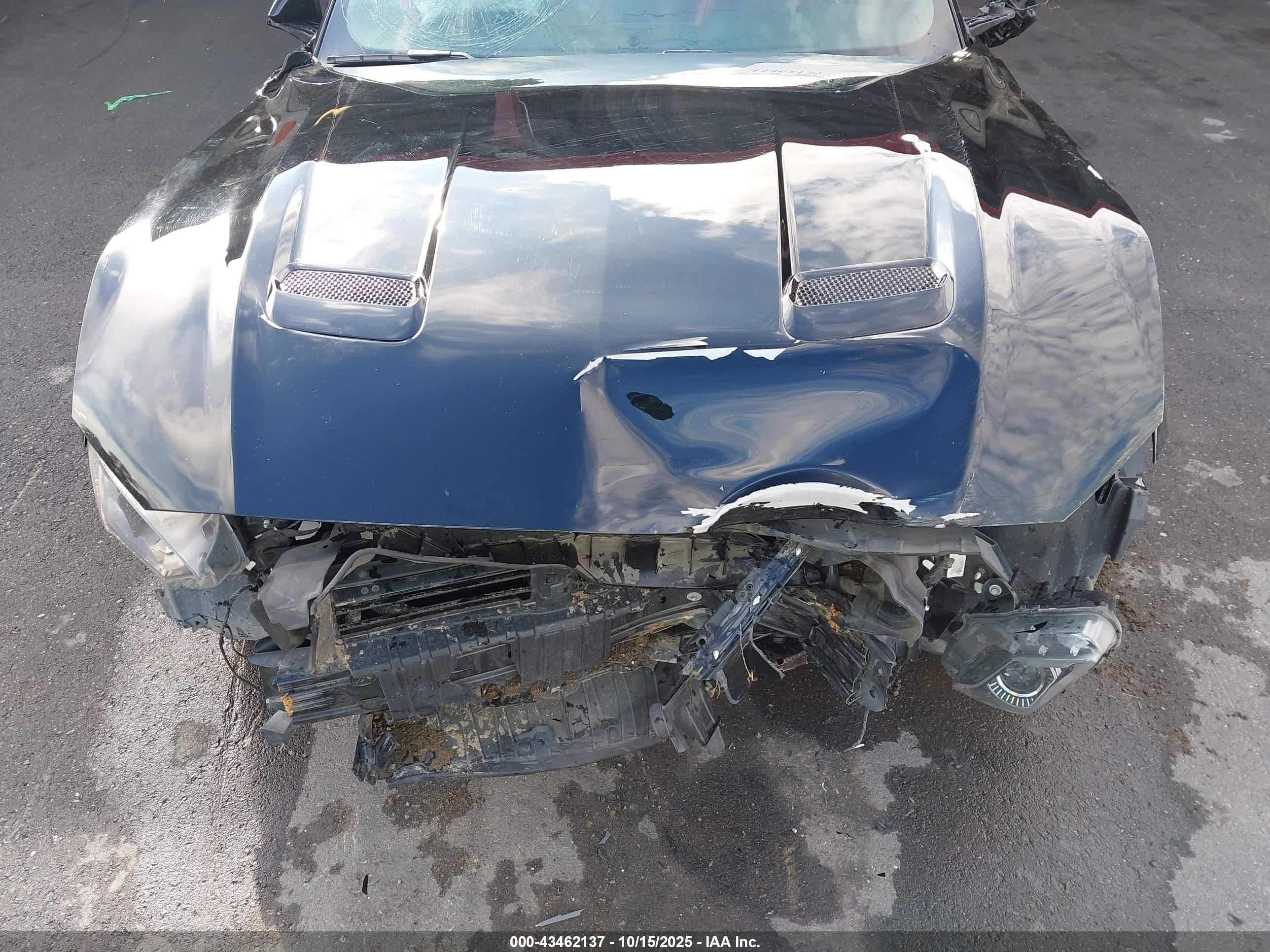 FORD MUSTANG image 6