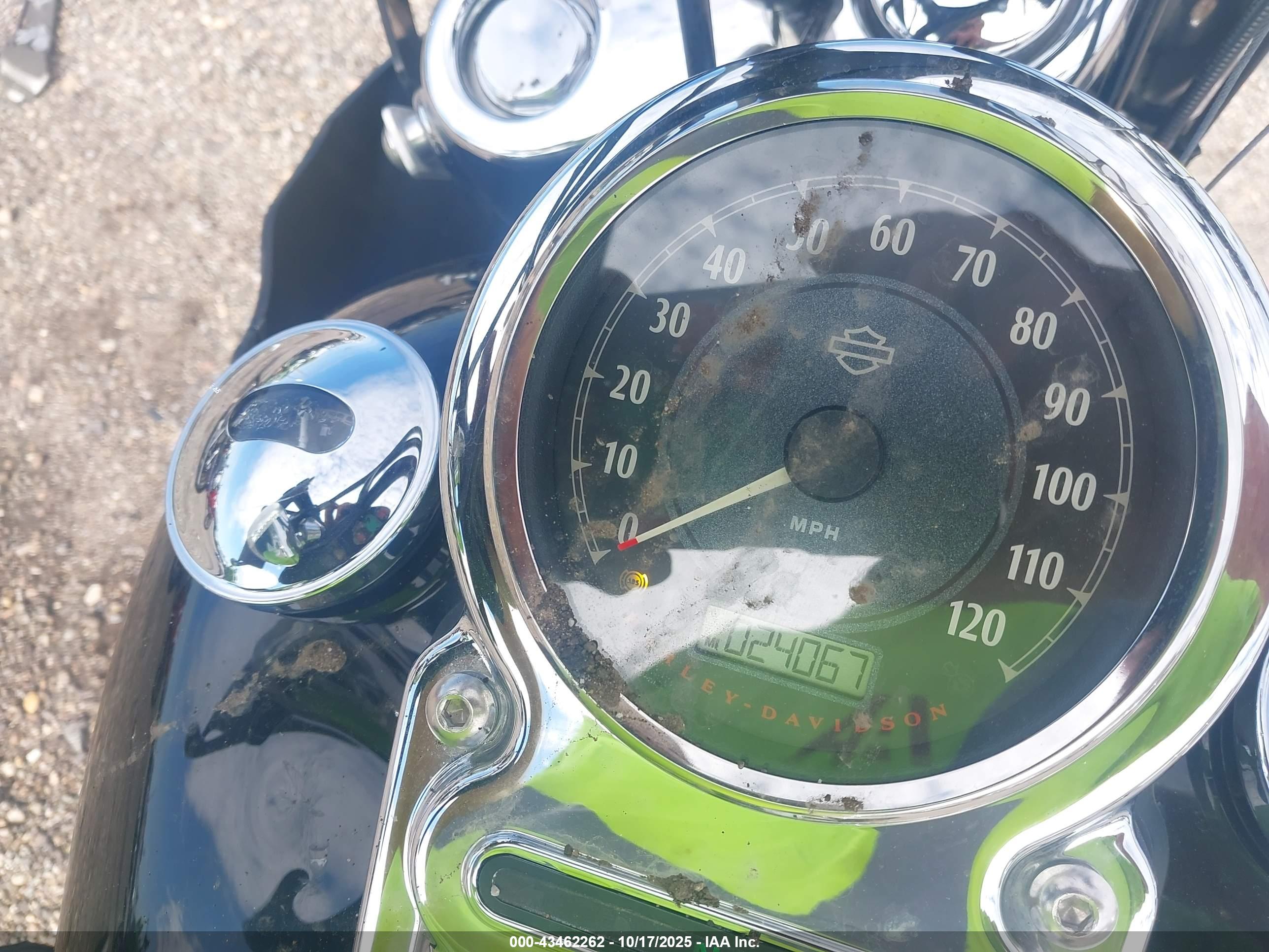 HARLEY-DAVIDSON FLD image 7