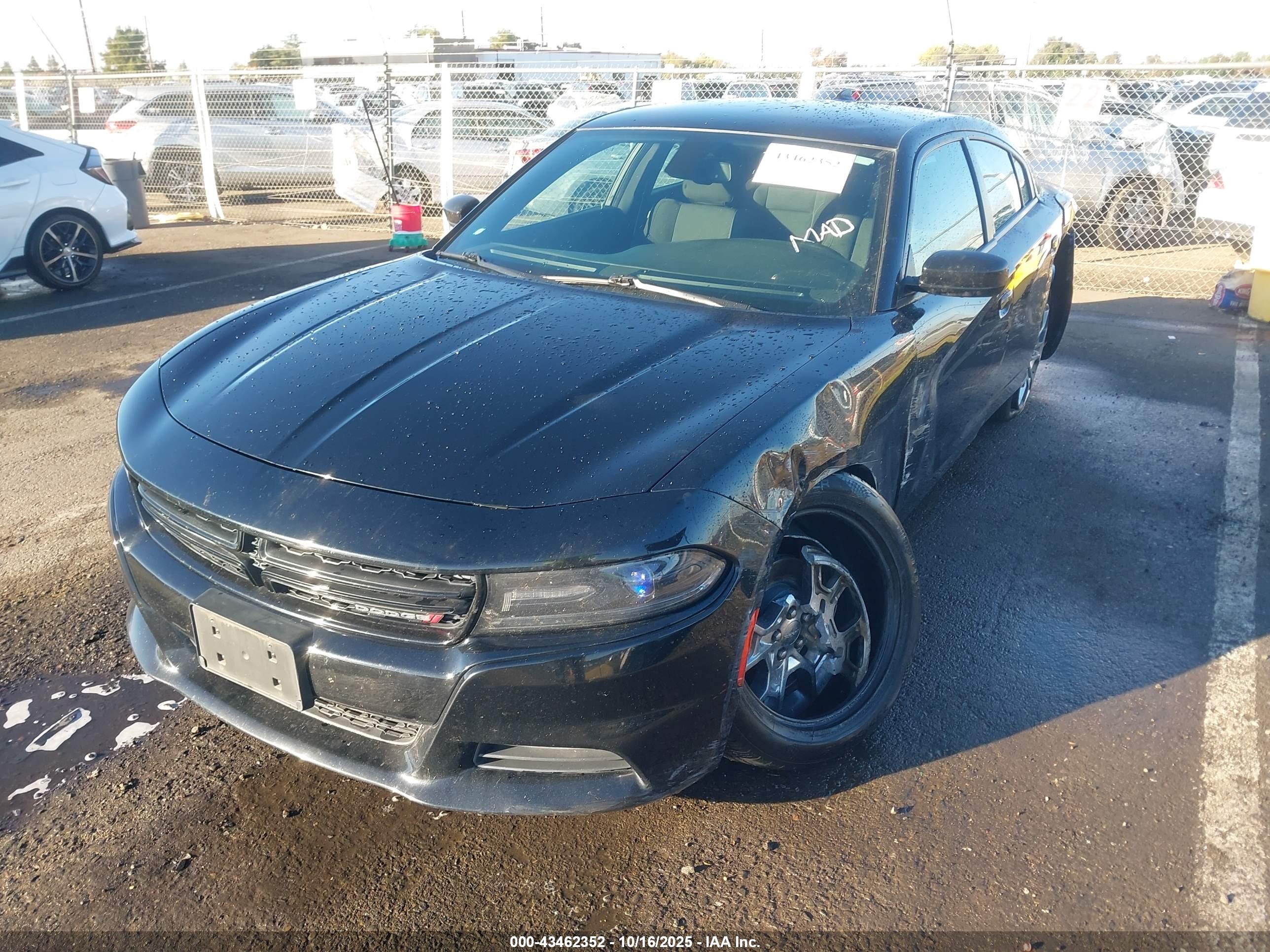 DODGE CHARGER image 2