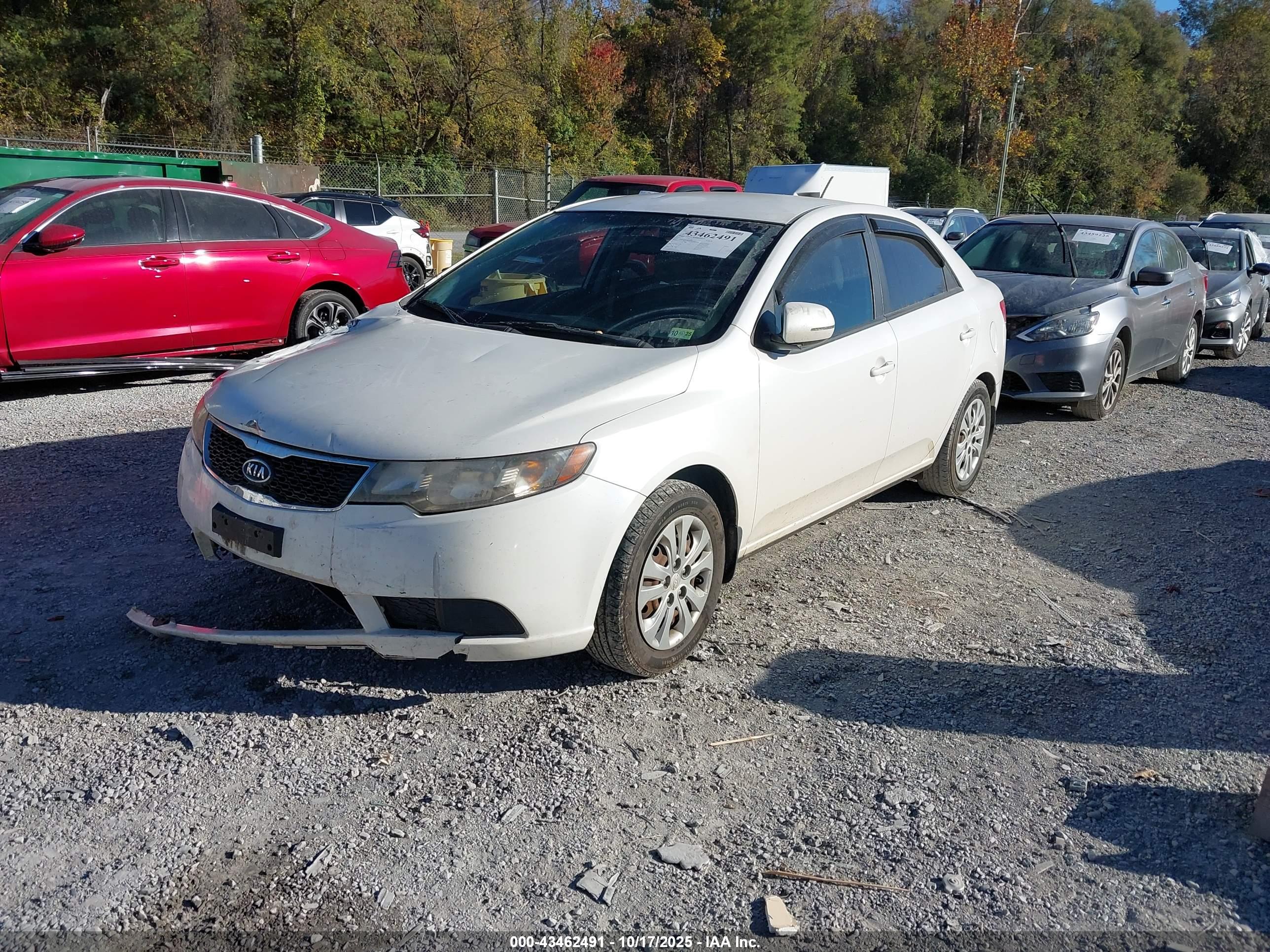 KIA FORTE image 2