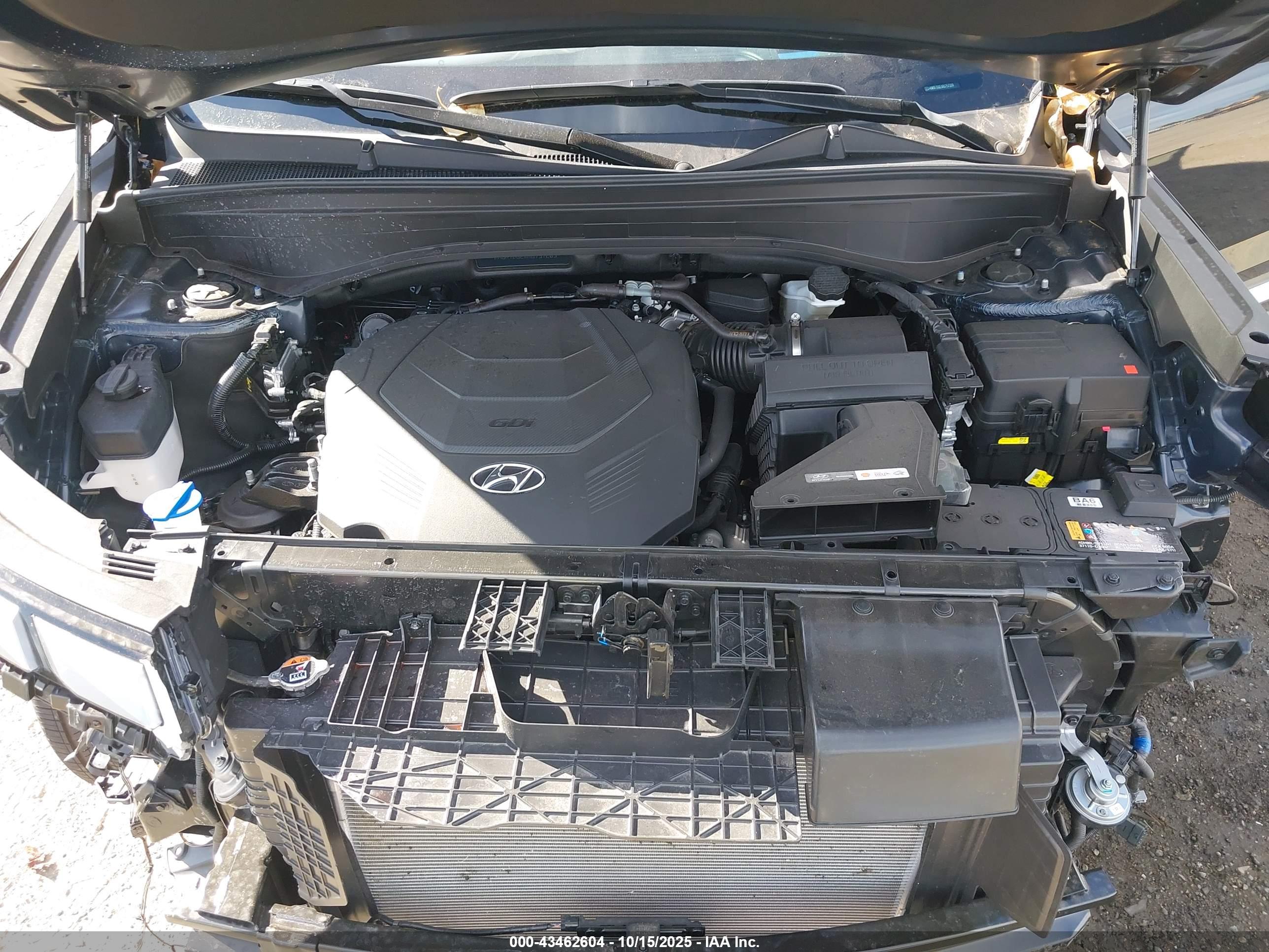 HYUNDAI PALISADE image 10