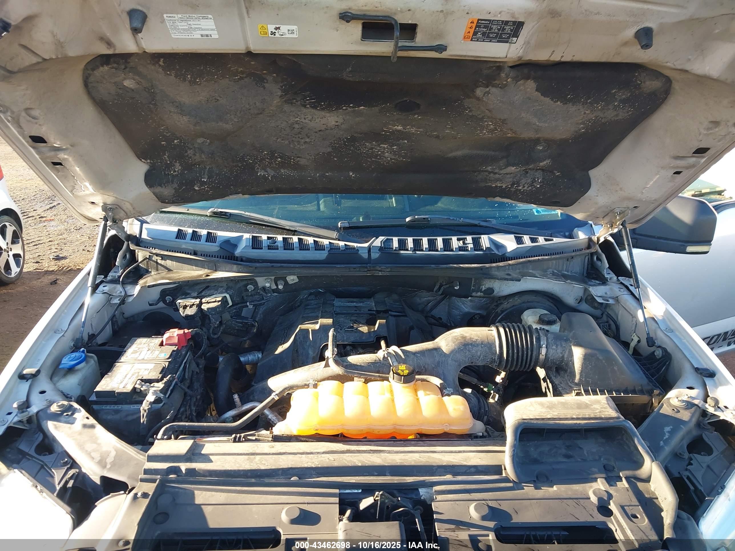 FORD F-150 image 10