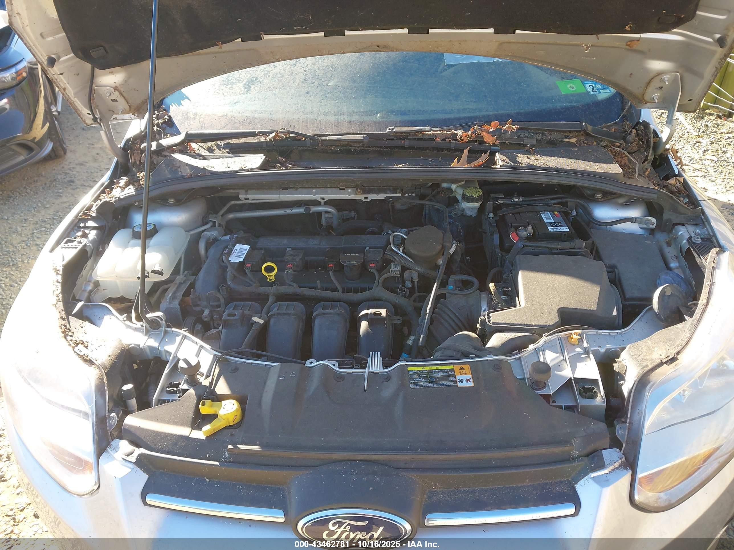 FORD FOCUS image 10
