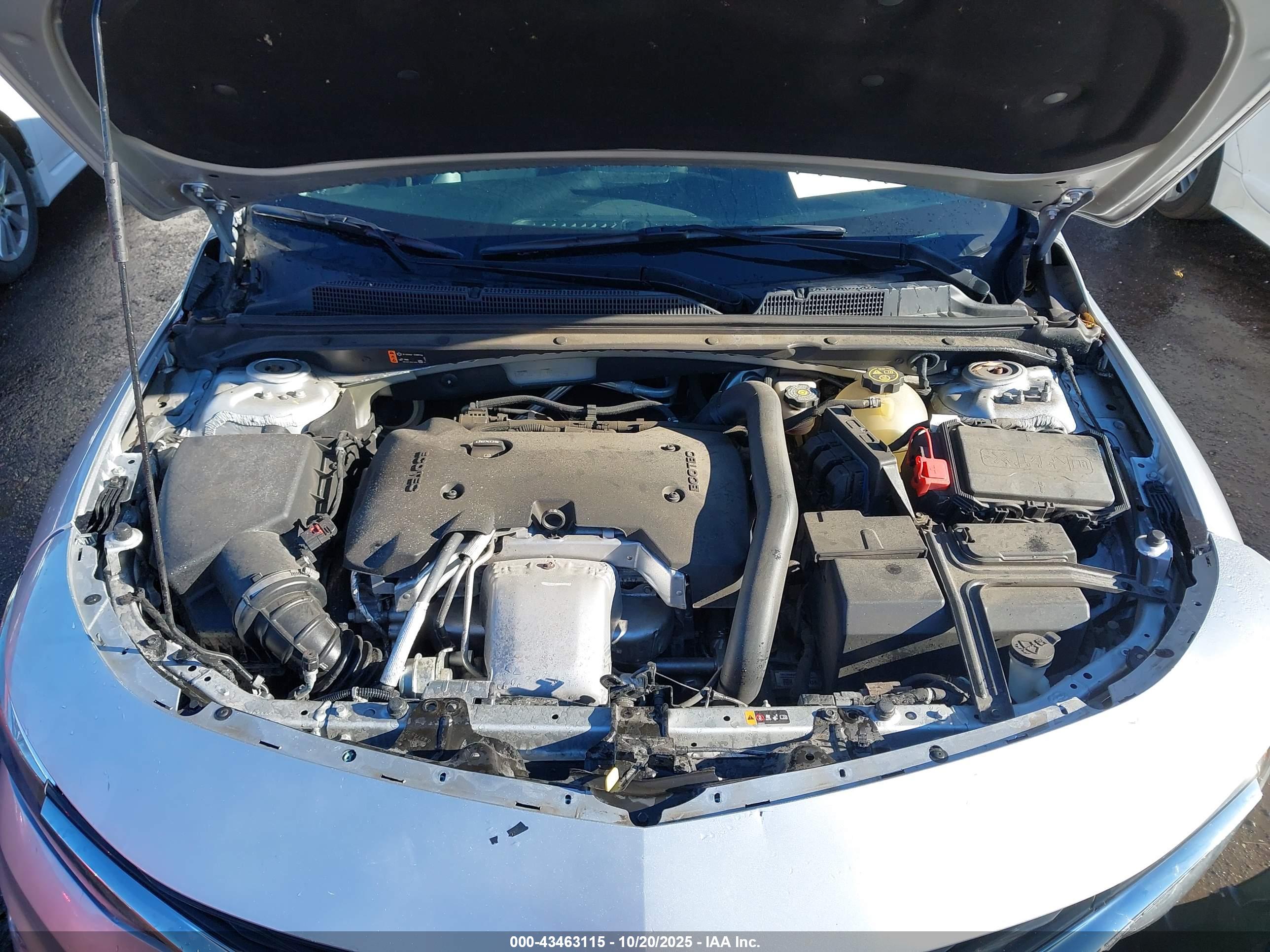 CHEVROLET MALIBU image 10