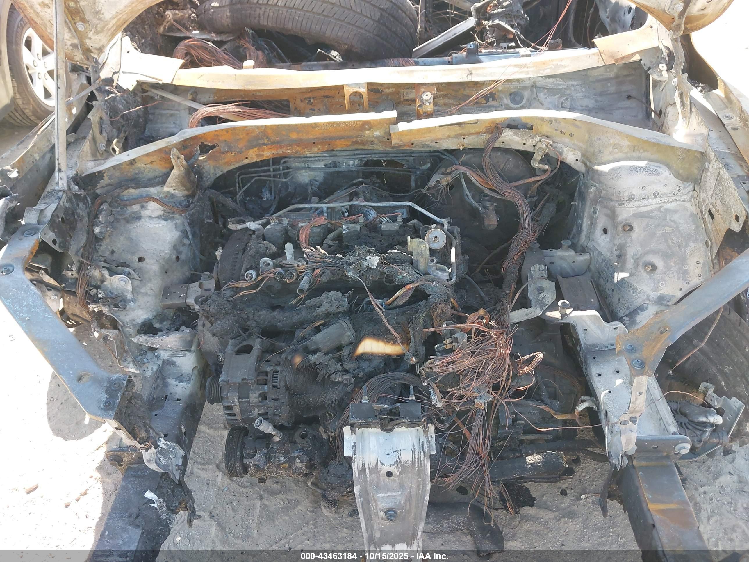 VOLKSWAGEN TIGUAN image 10