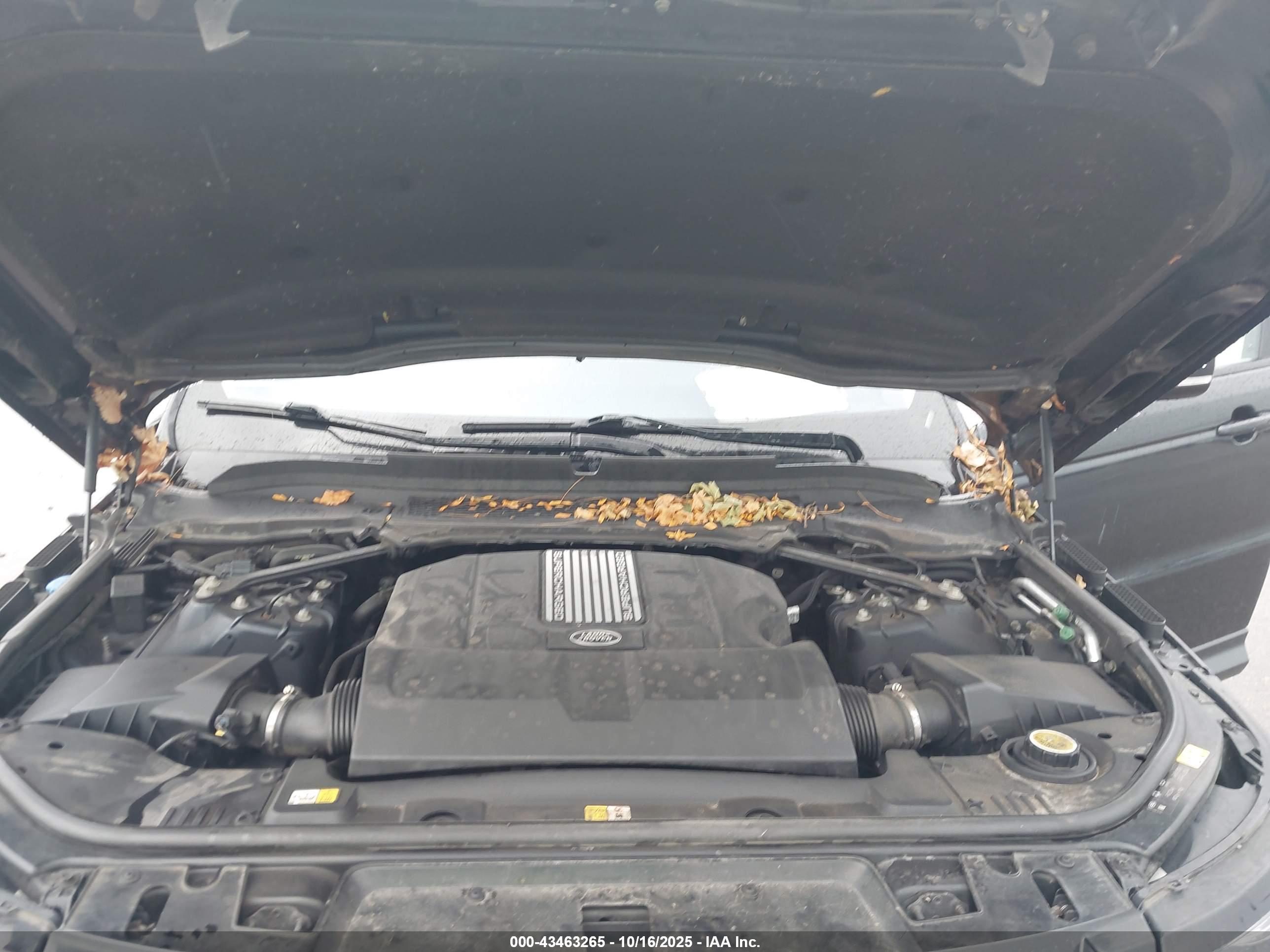 LAND ROVER image 10