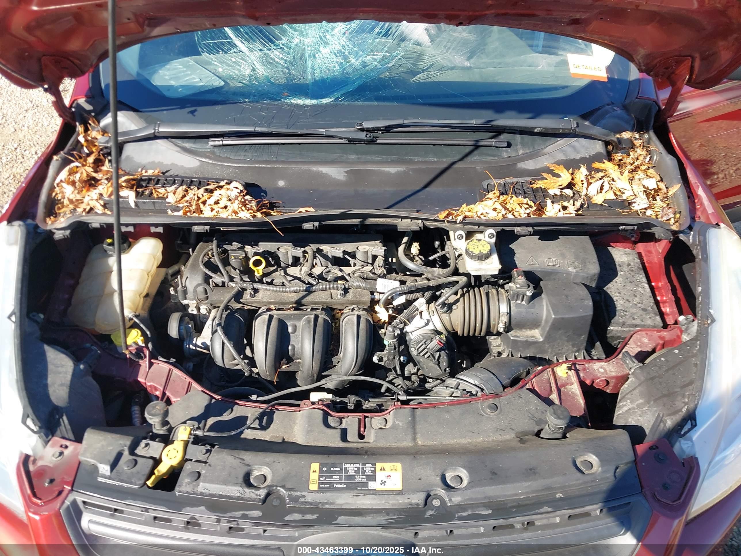 FORD ESCAPE image 10