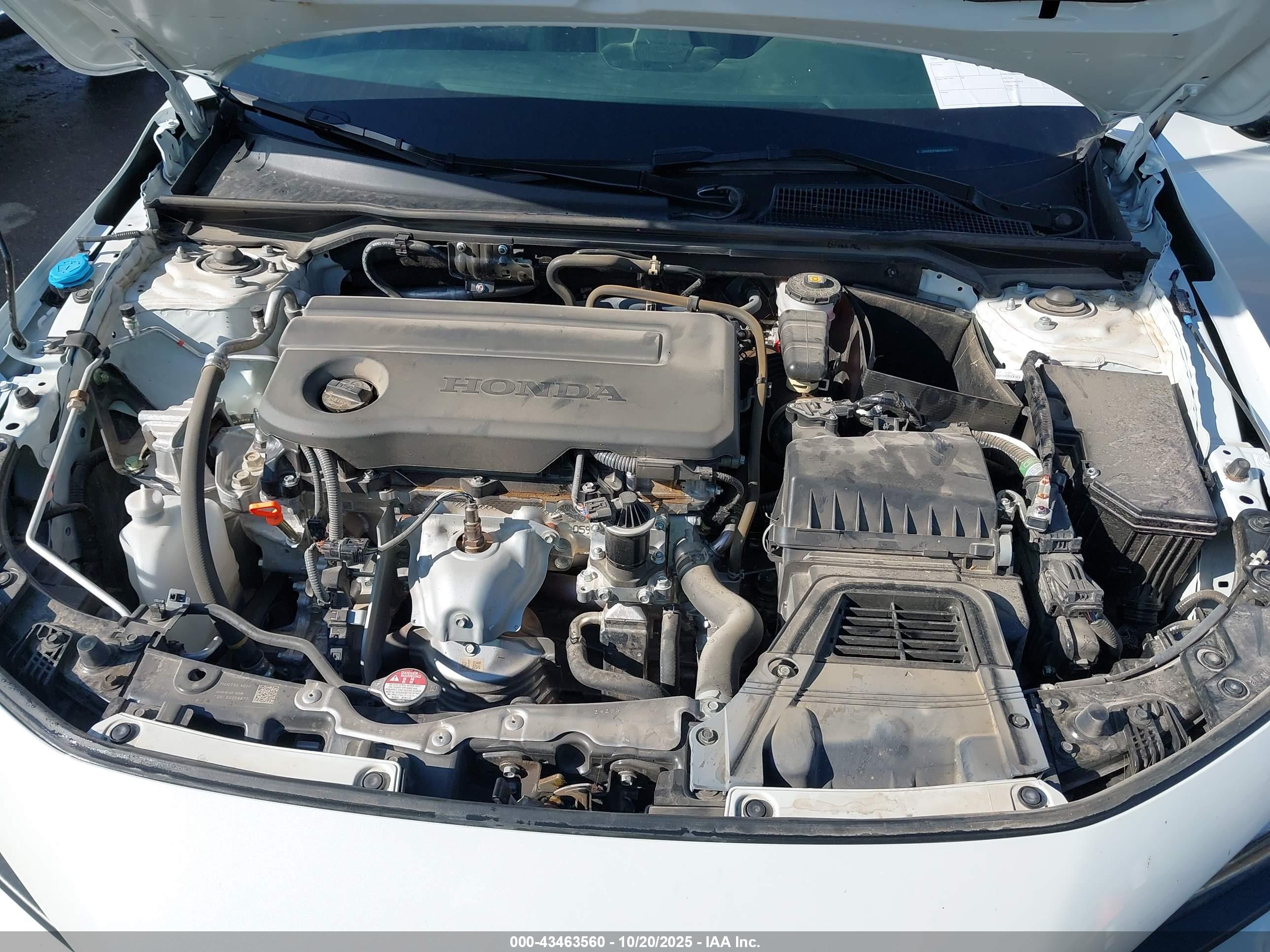 HONDA CIVIC image 10