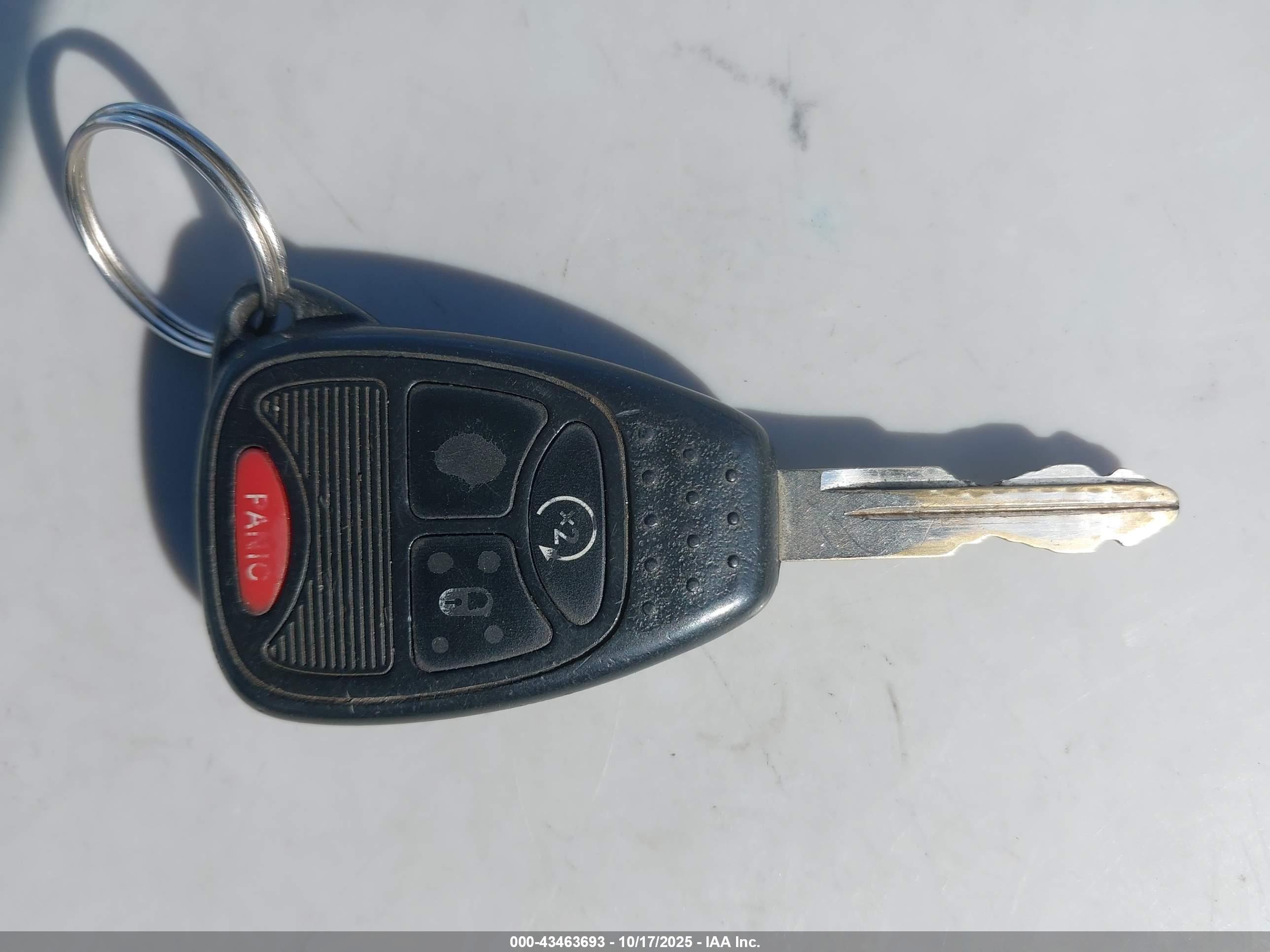 JEEP WRANGLER image 11