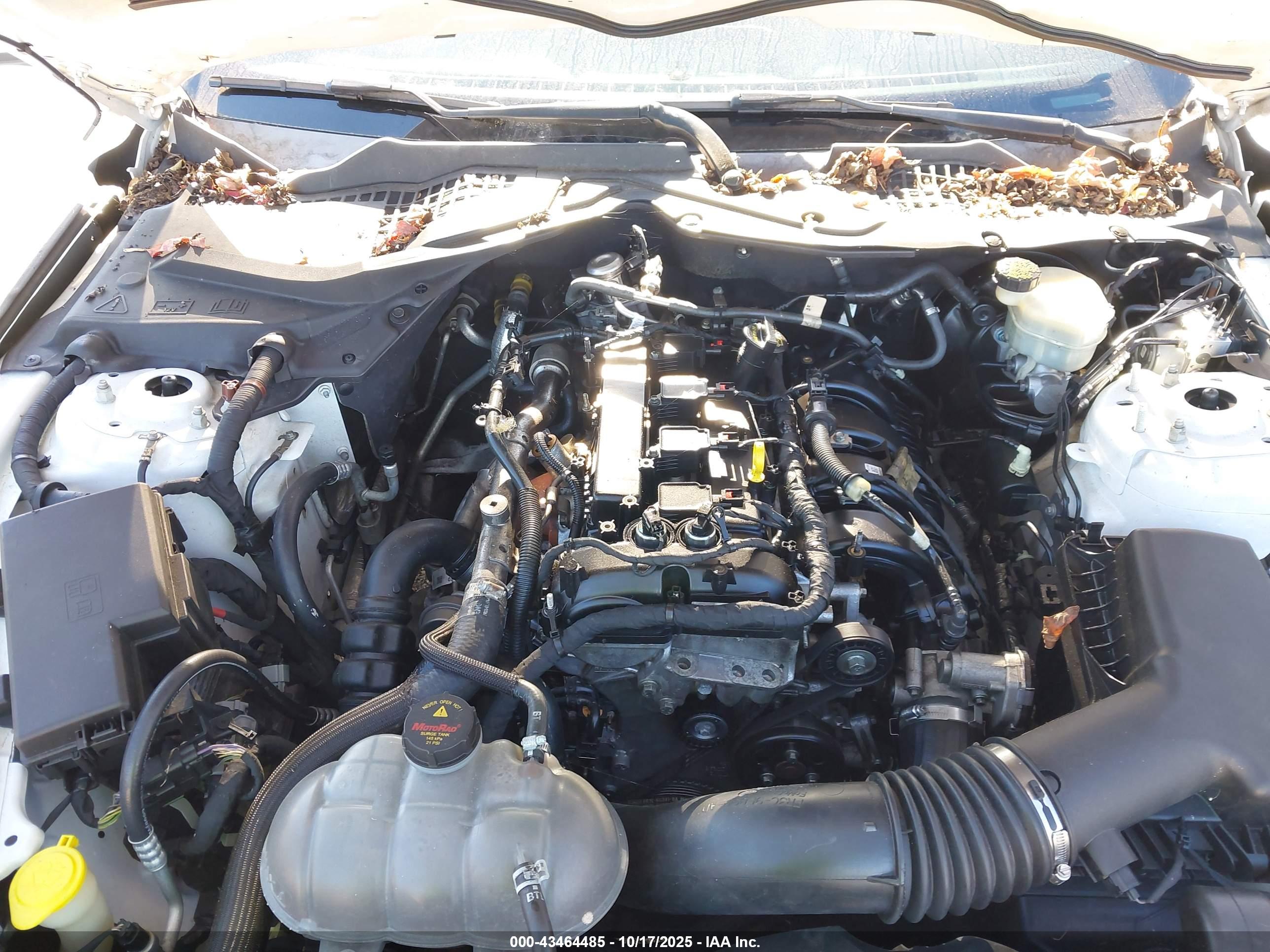 FORD MUSTANG image 10