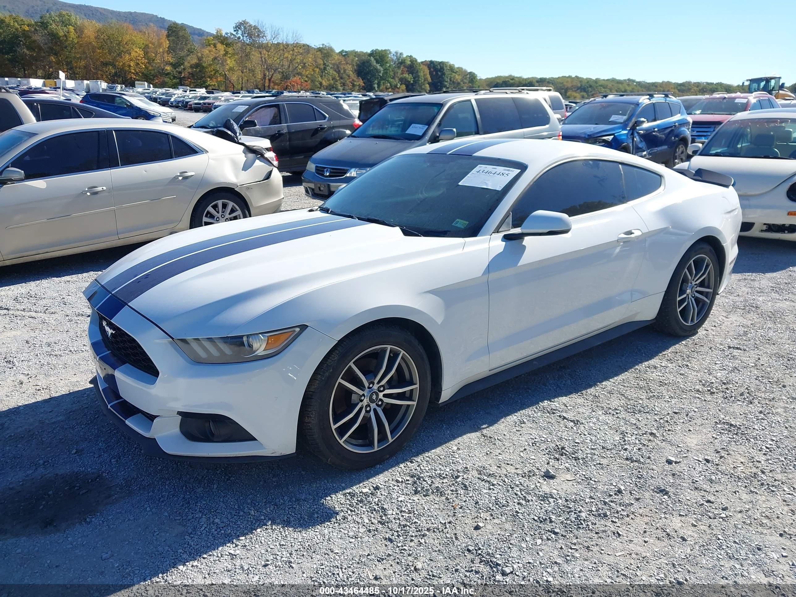 FORD MUSTANG image 2