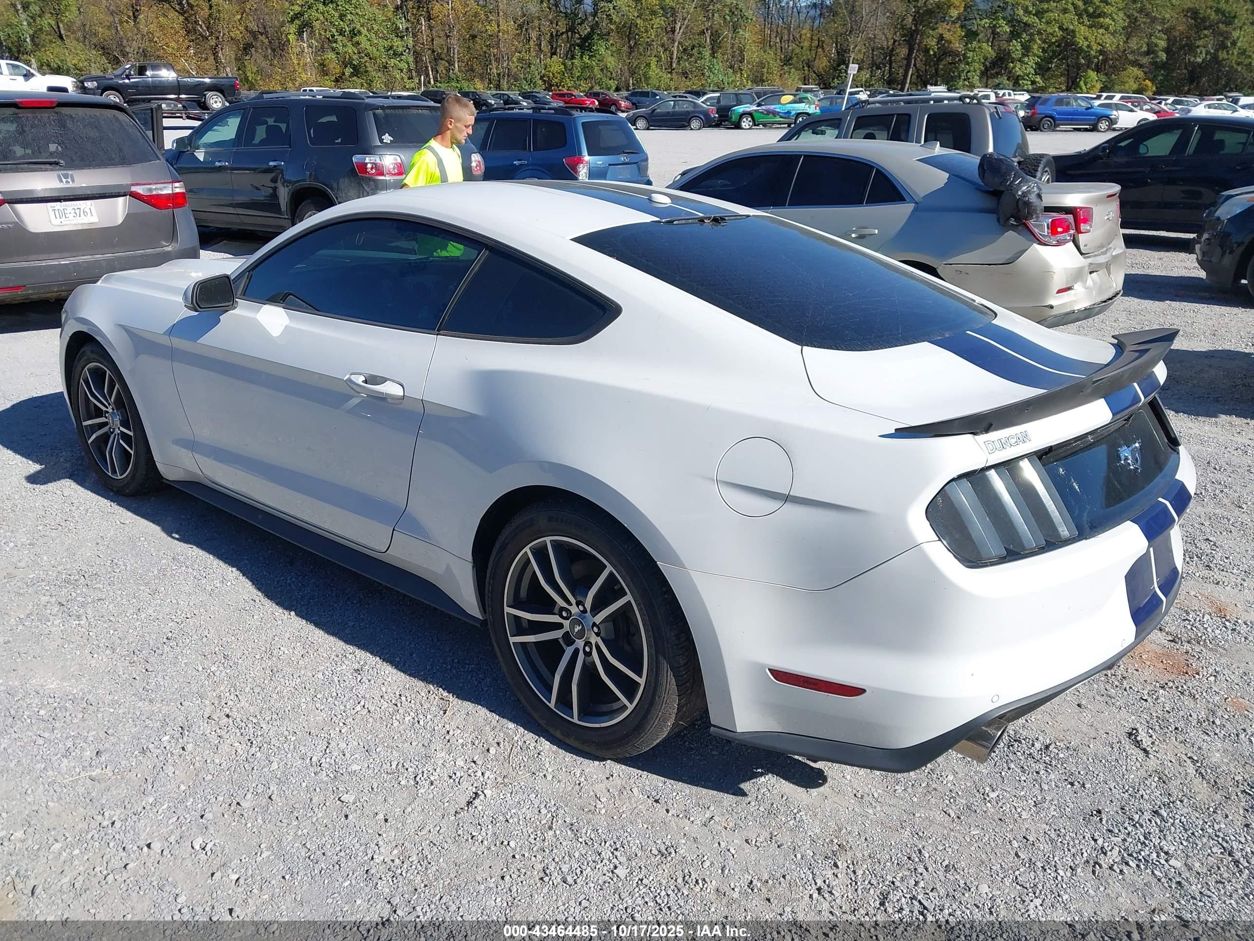 FORD MUSTANG image 3