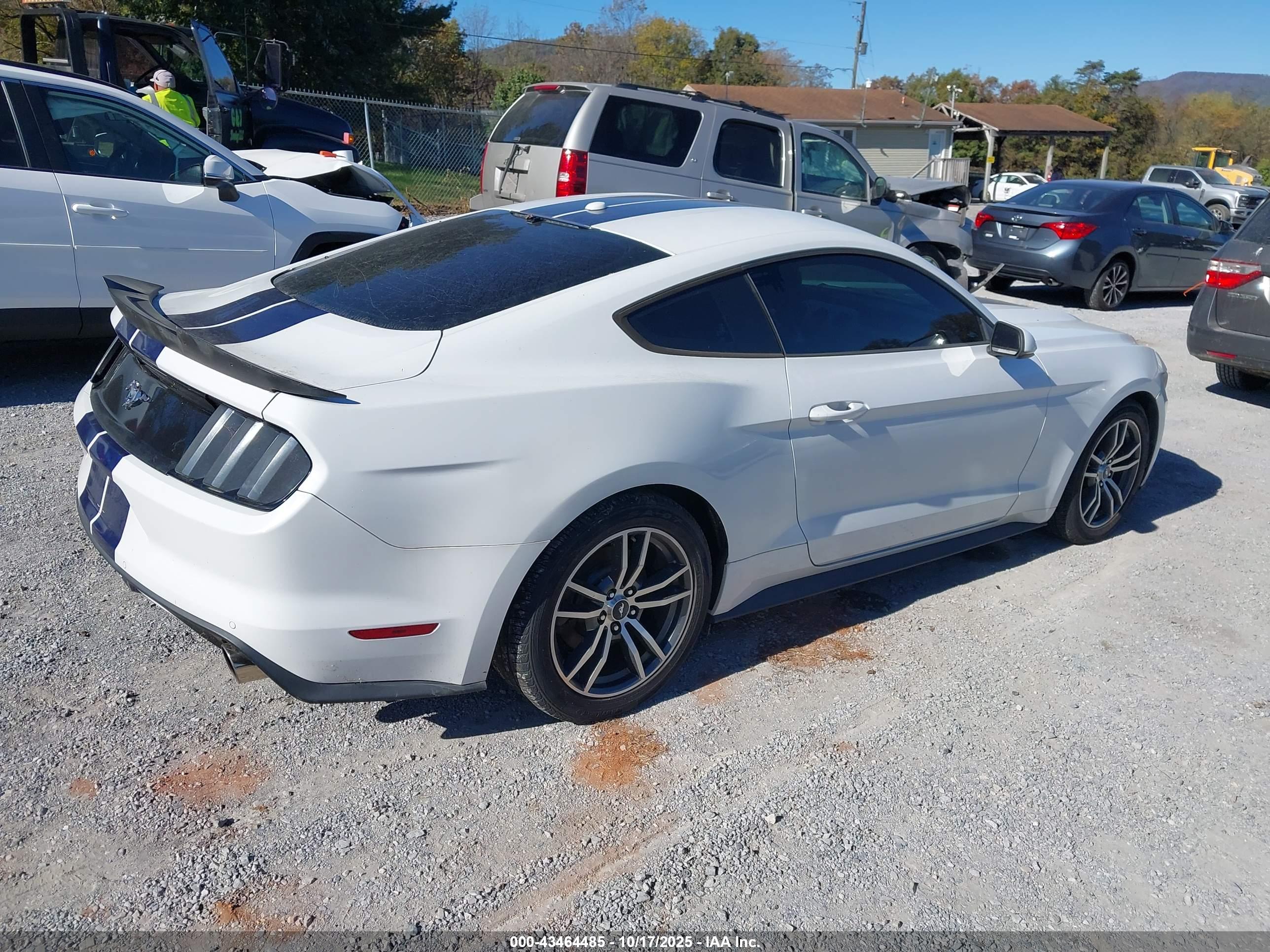 FORD MUSTANG image 4