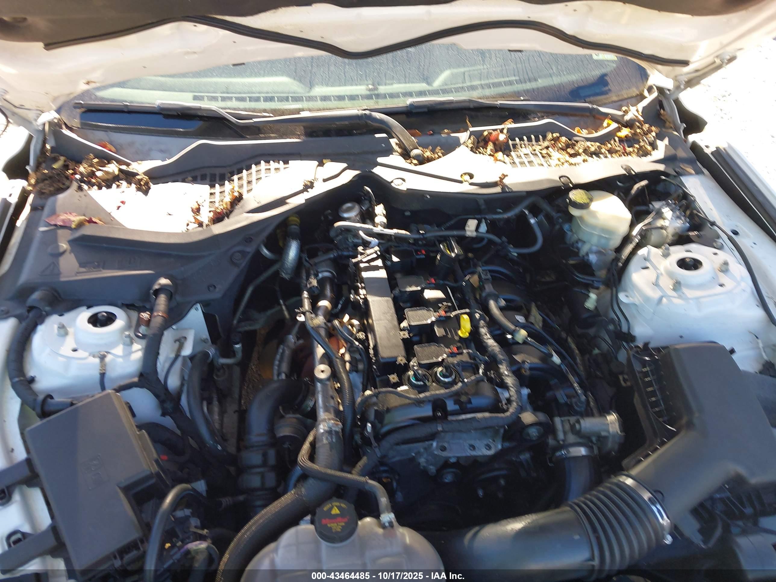FORD MUSTANG image 6