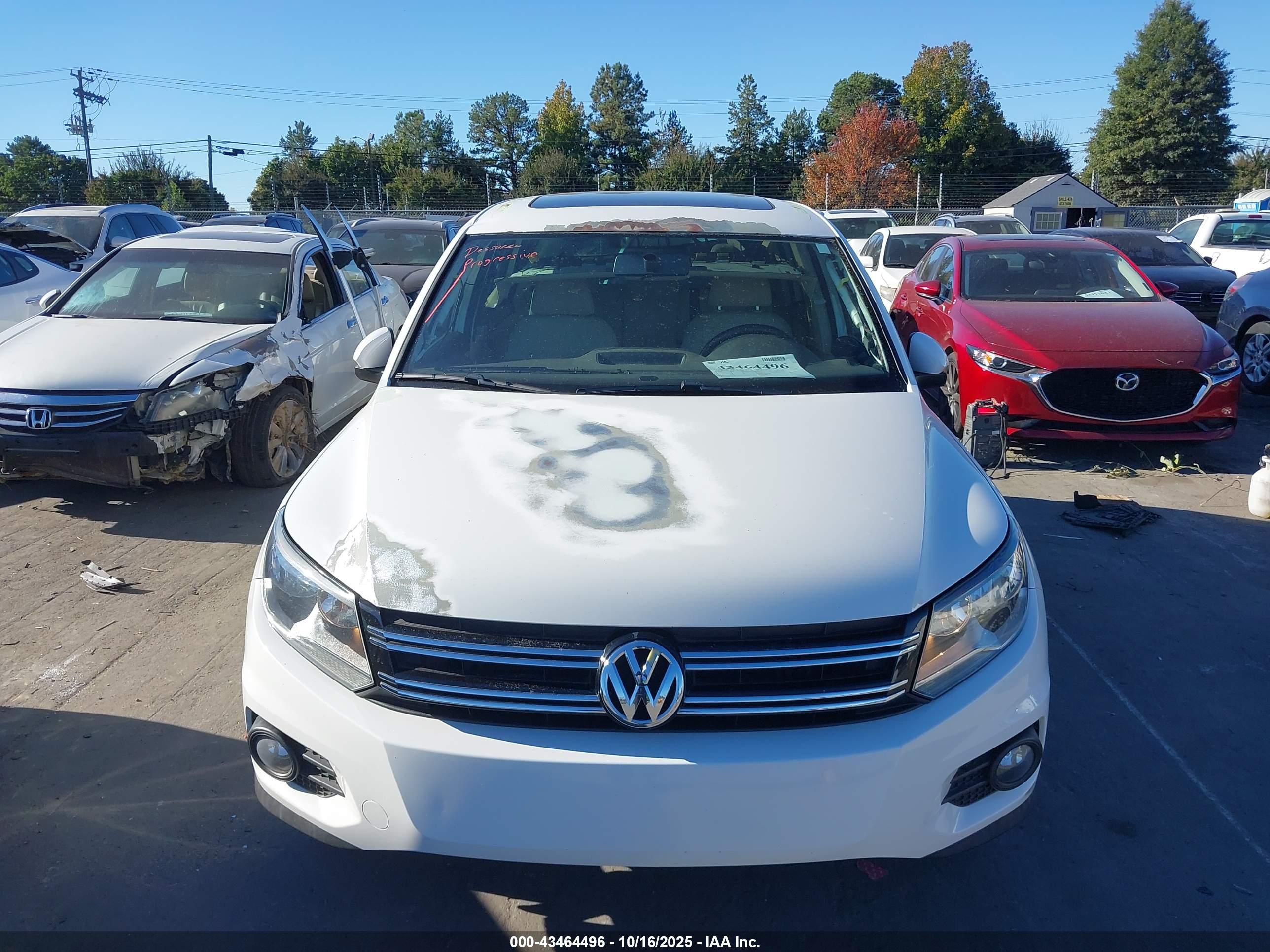 VOLKSWAGEN TIGUAN image 6