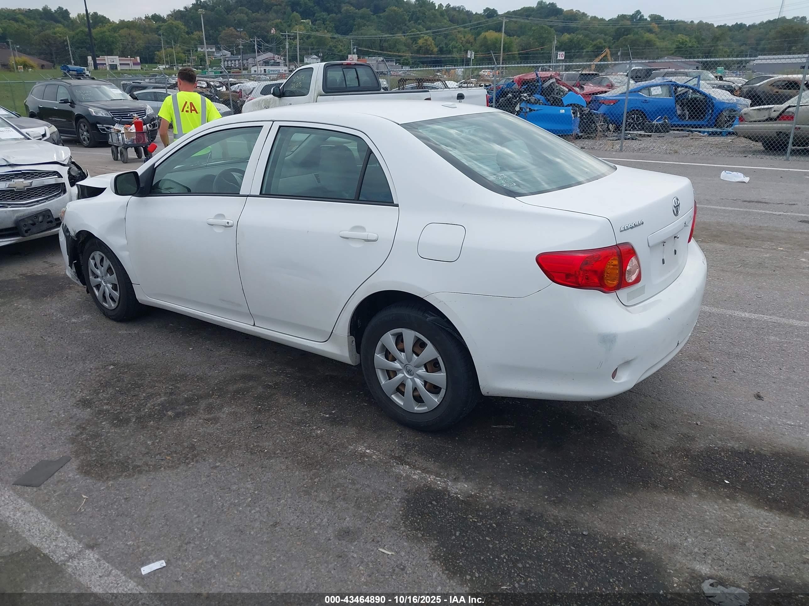 TOYOTA COROLLA image 3