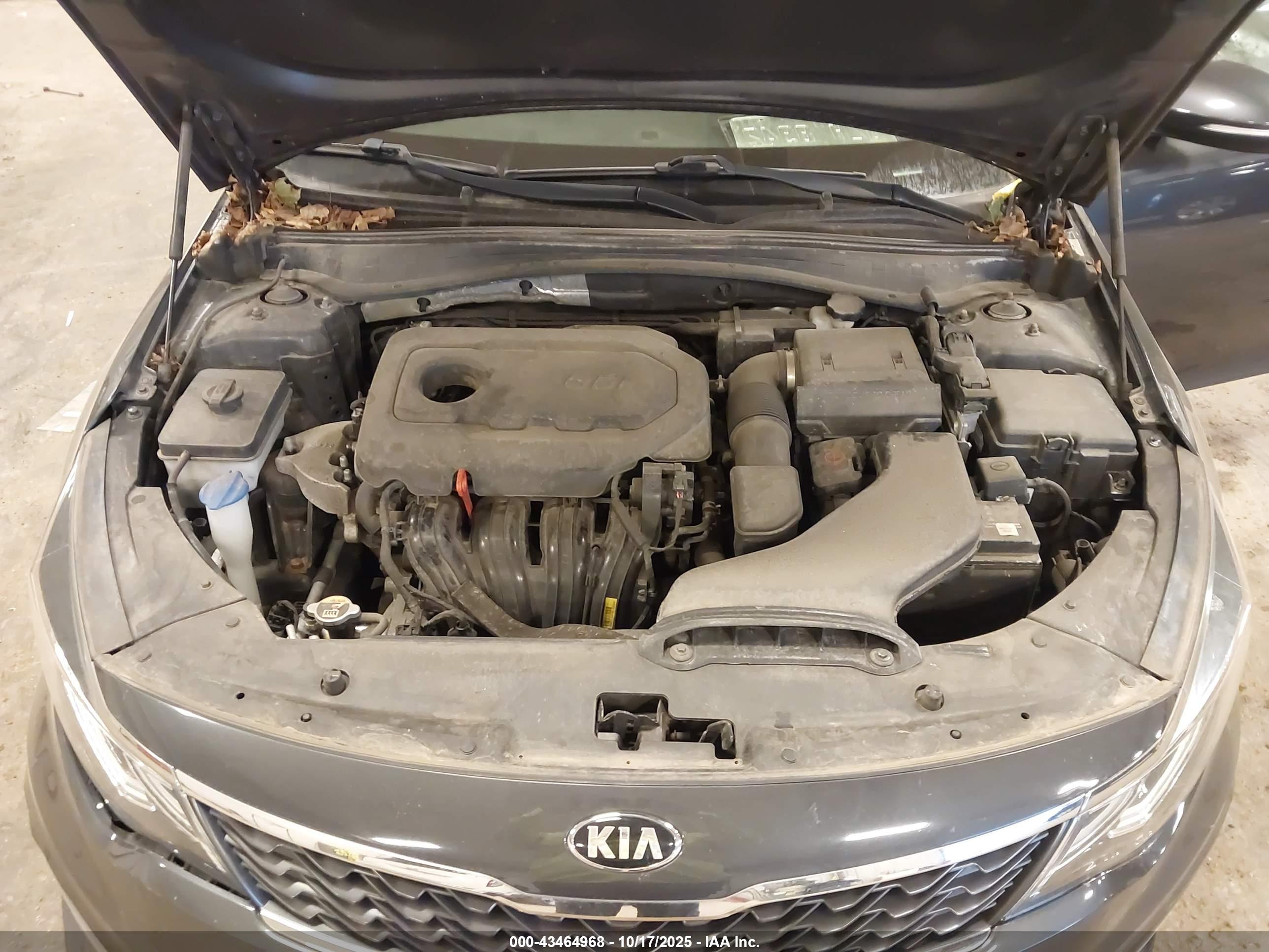 KIA OPTIMA image 10