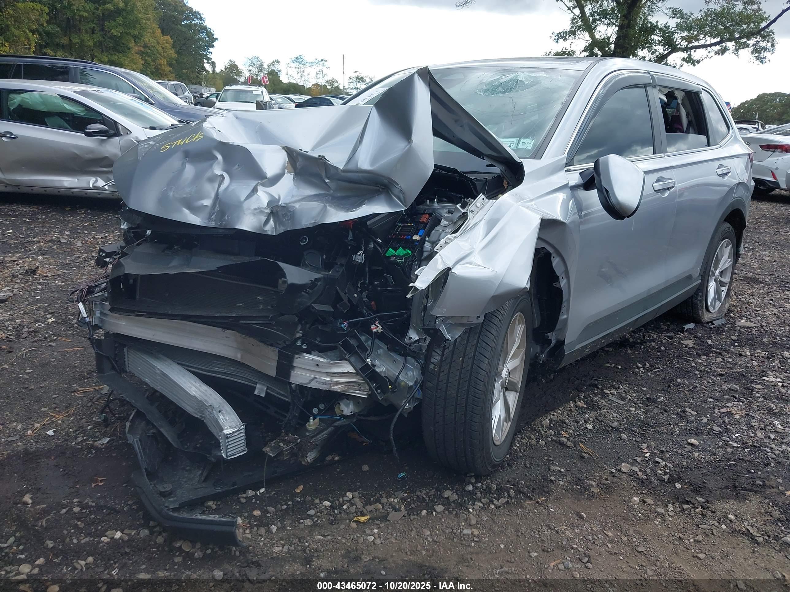 HONDA CR-V image 6