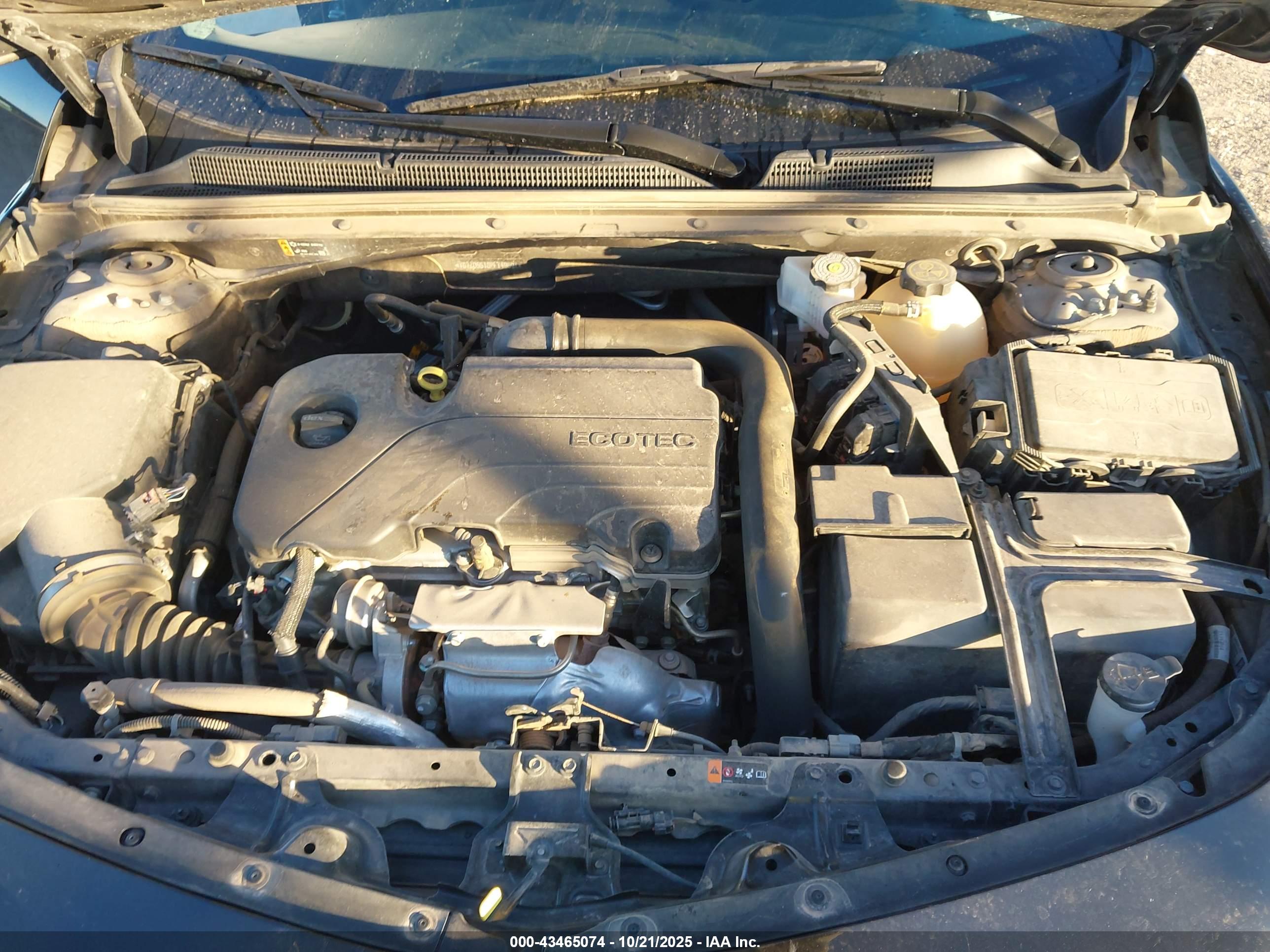 CHEVROLET MALIBU image 10