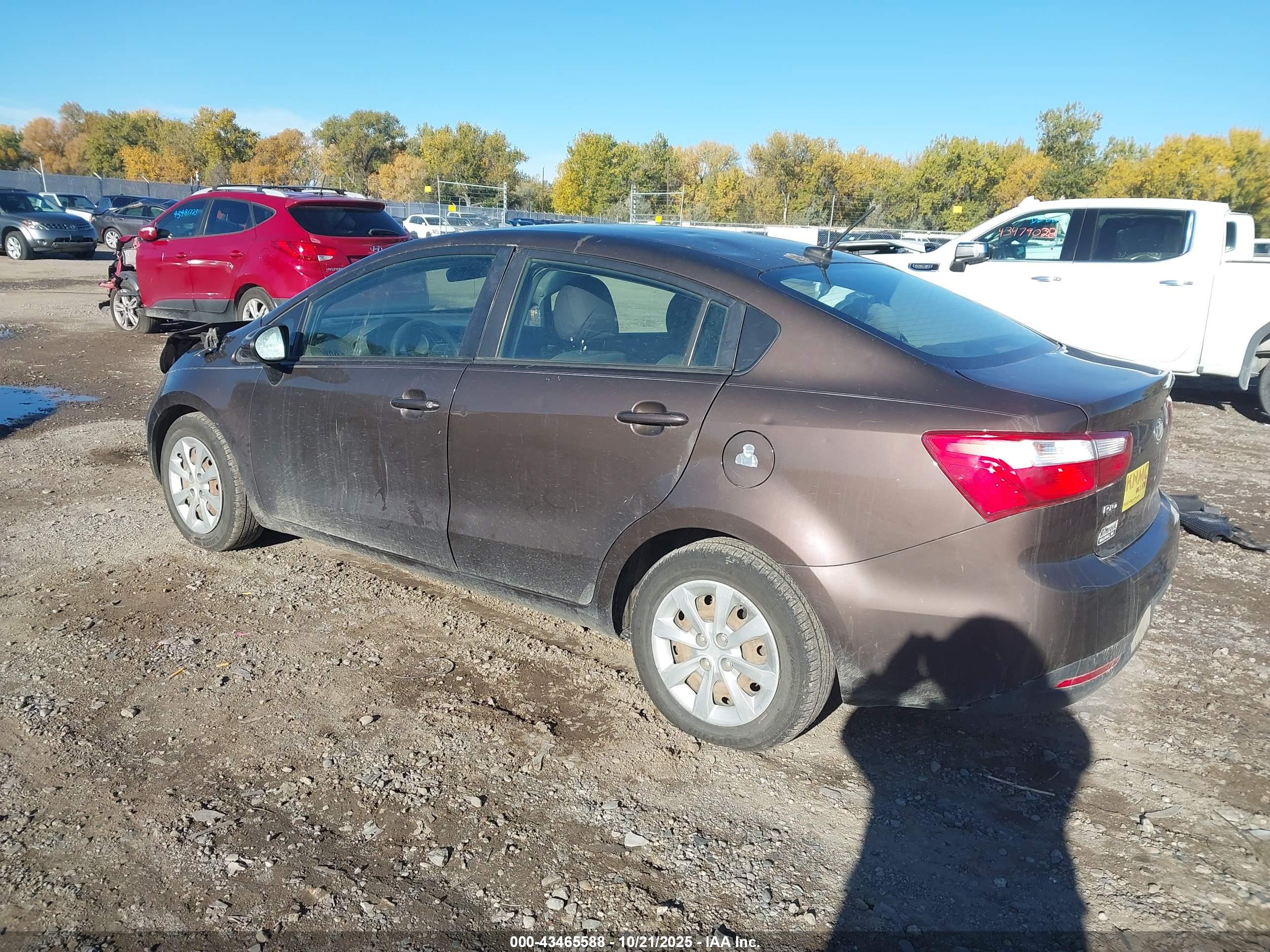 KIA RIO image 3
