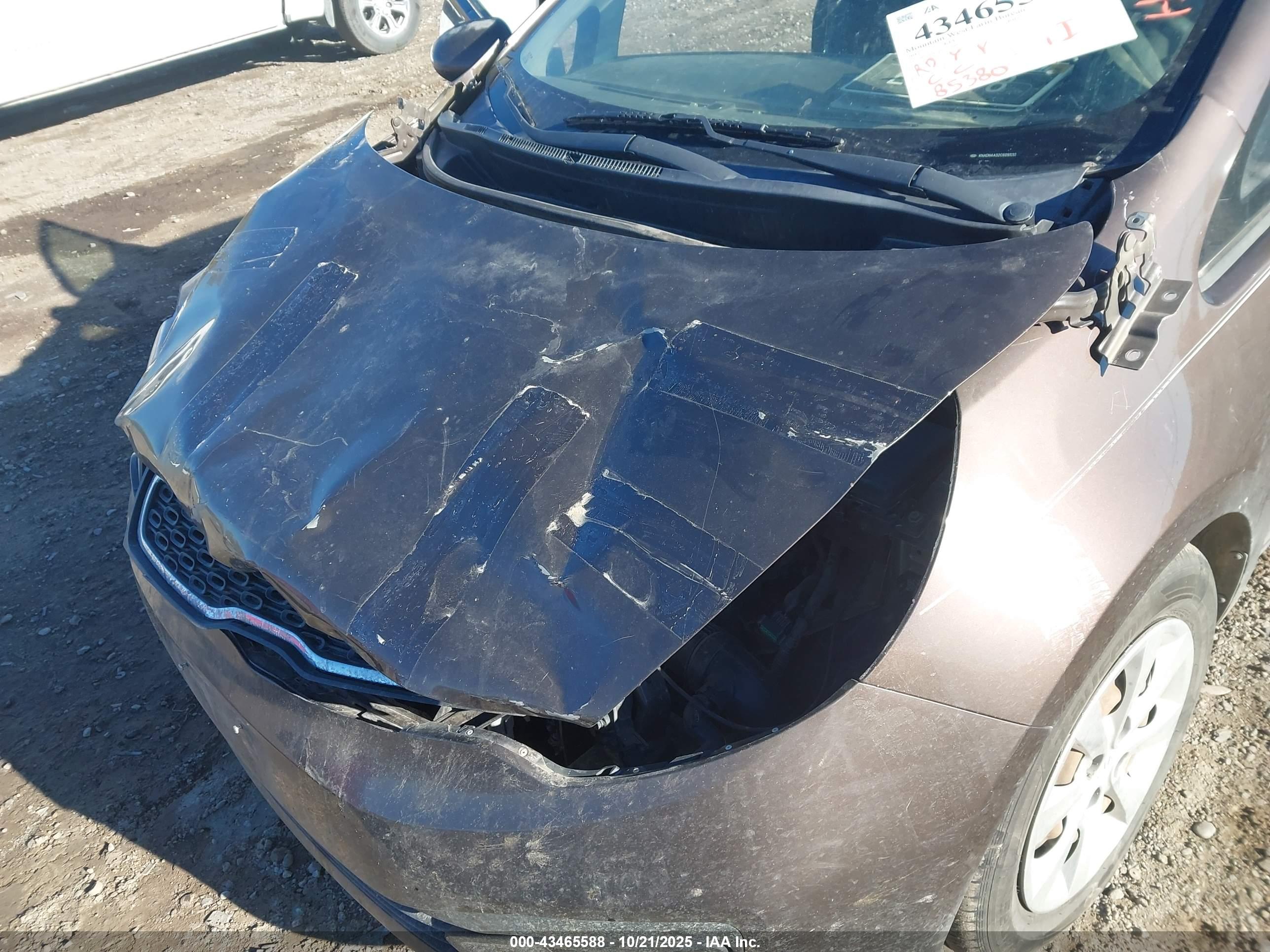 KIA RIO image 6