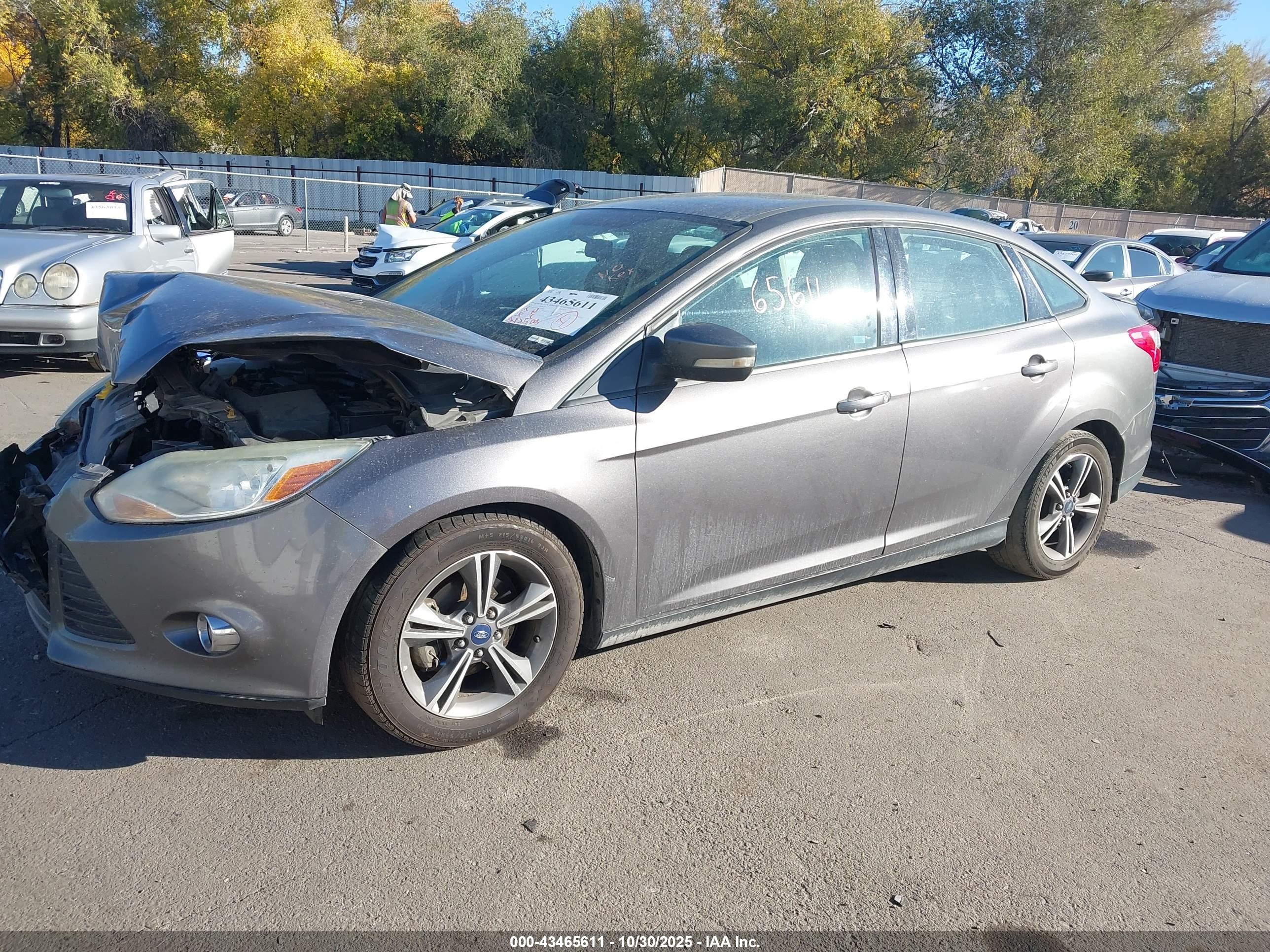 FORD FOCUS image 2