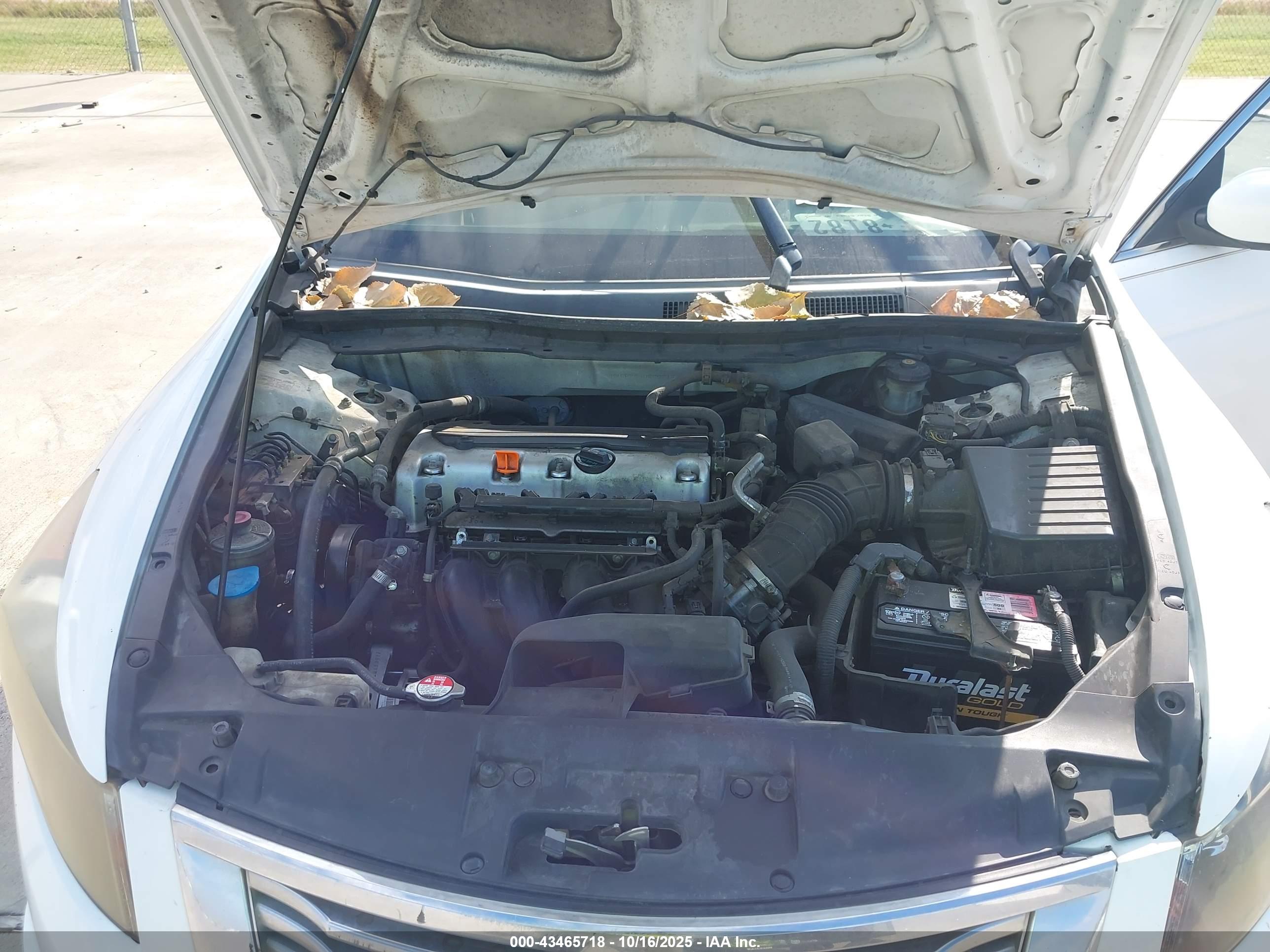 HONDA ACCORD image 10