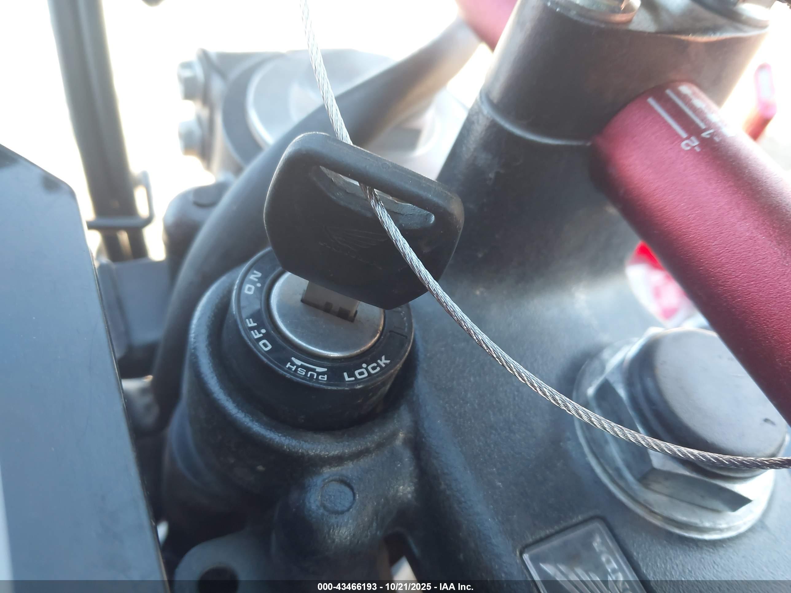 HONDA CRF300 image 11